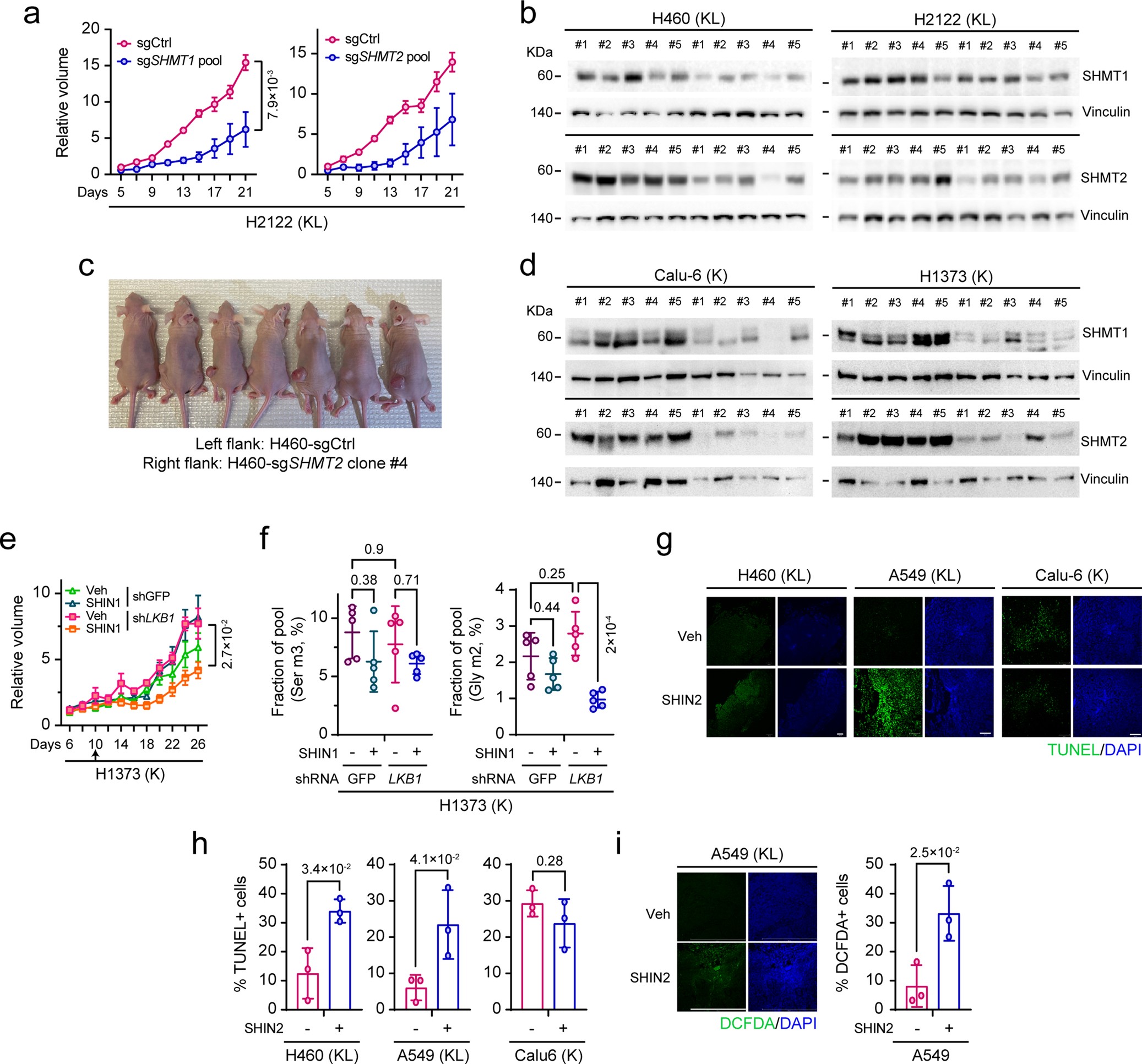 Extended Data Fig. 8