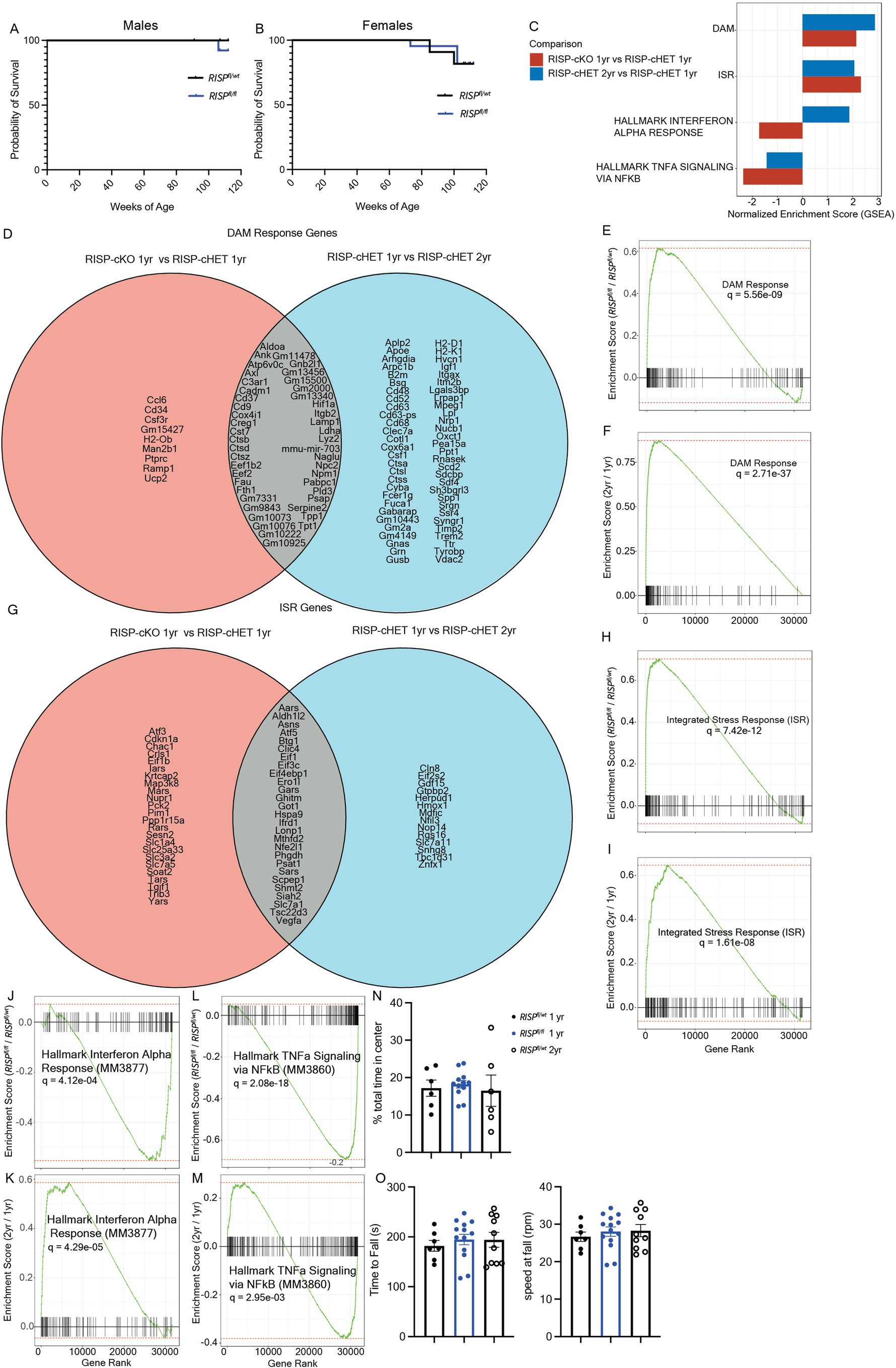 Extended Data Fig. 2: Aged and RISP-cKO microglia have distinct transcriptional profiles.
