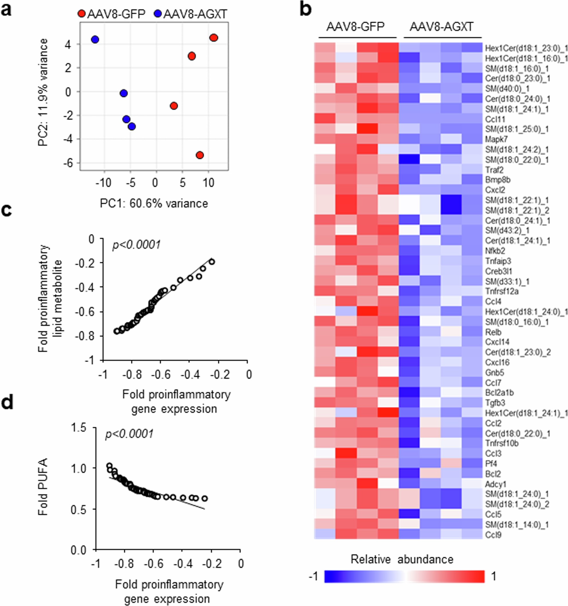 Extended Data Fig. 9: Integration of the hepatic lipidome and transcriptome in mice overexpressing AGXT.