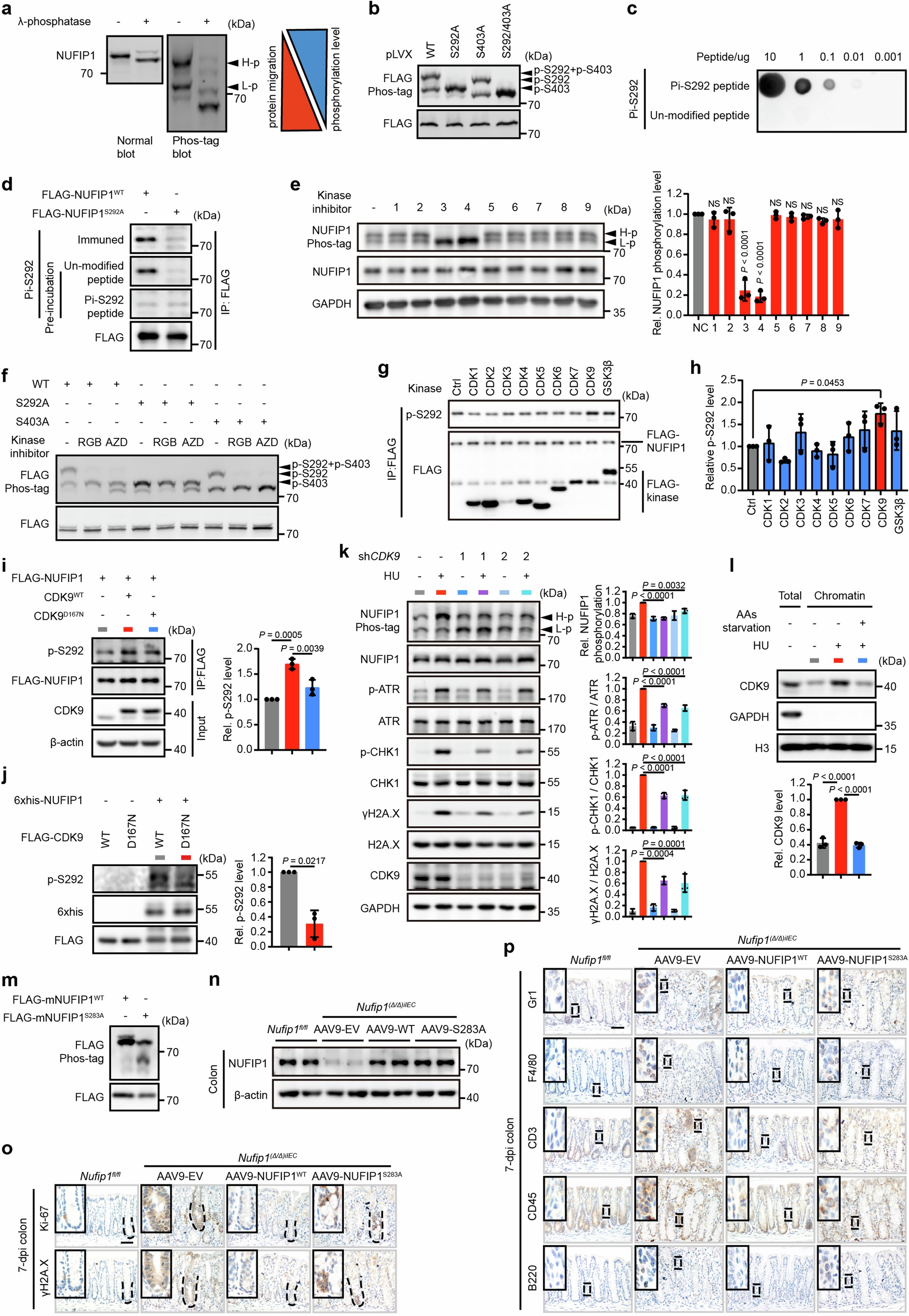 Extended Data Fig. 4