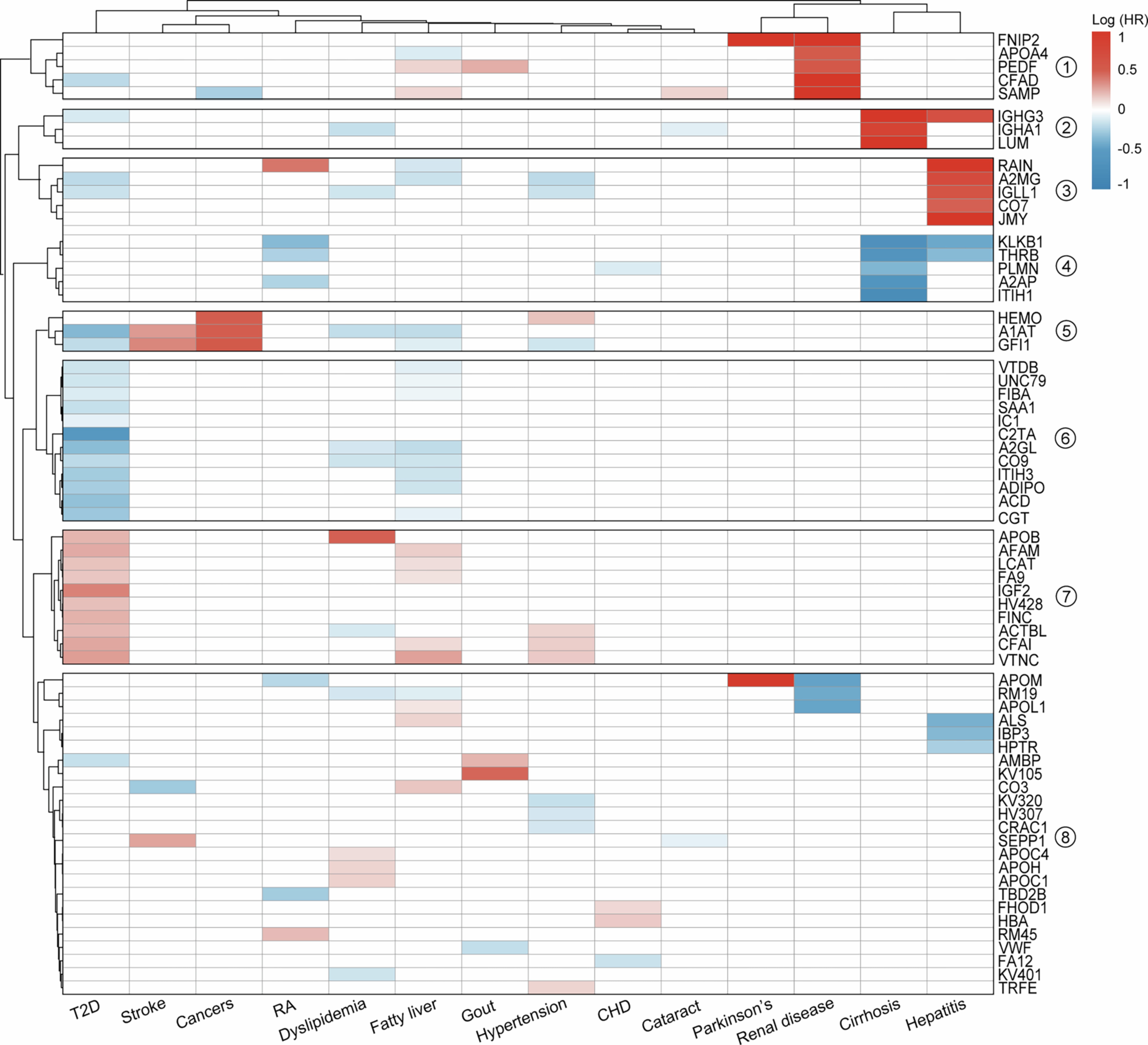 Extended Data Fig. 5: Hierarchical clustering for the nominally significant prospective associations between ageing-related proteins and risk of 14 chronic diseases.