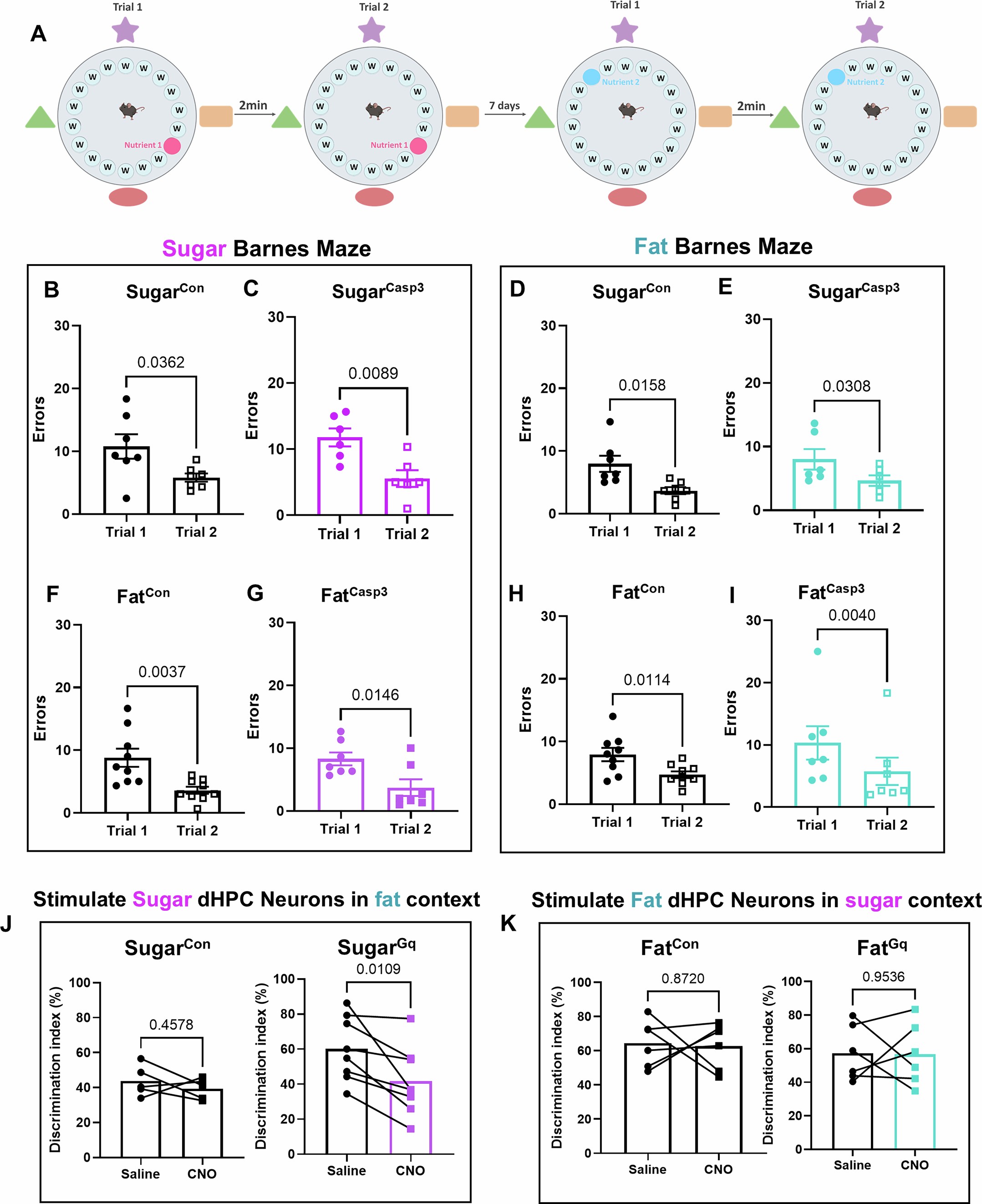 Extended Data Fig. 6: Fat- and sucrose-responsive dHPC neurons are not required for working memory or sufficient to influence memory in the wrong context.
