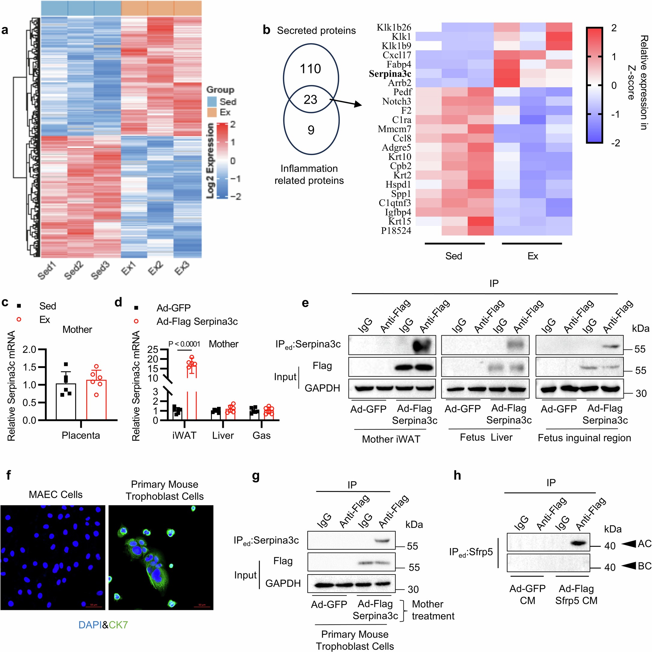 Extended Data Fig. 2