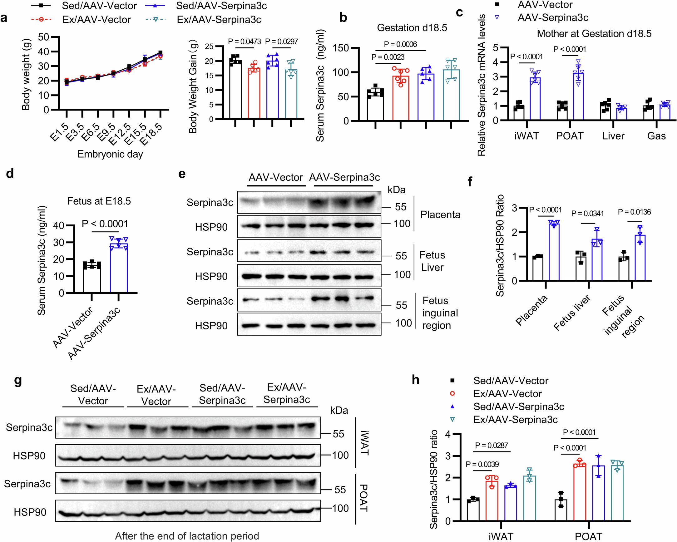 Extended Data Fig. 5