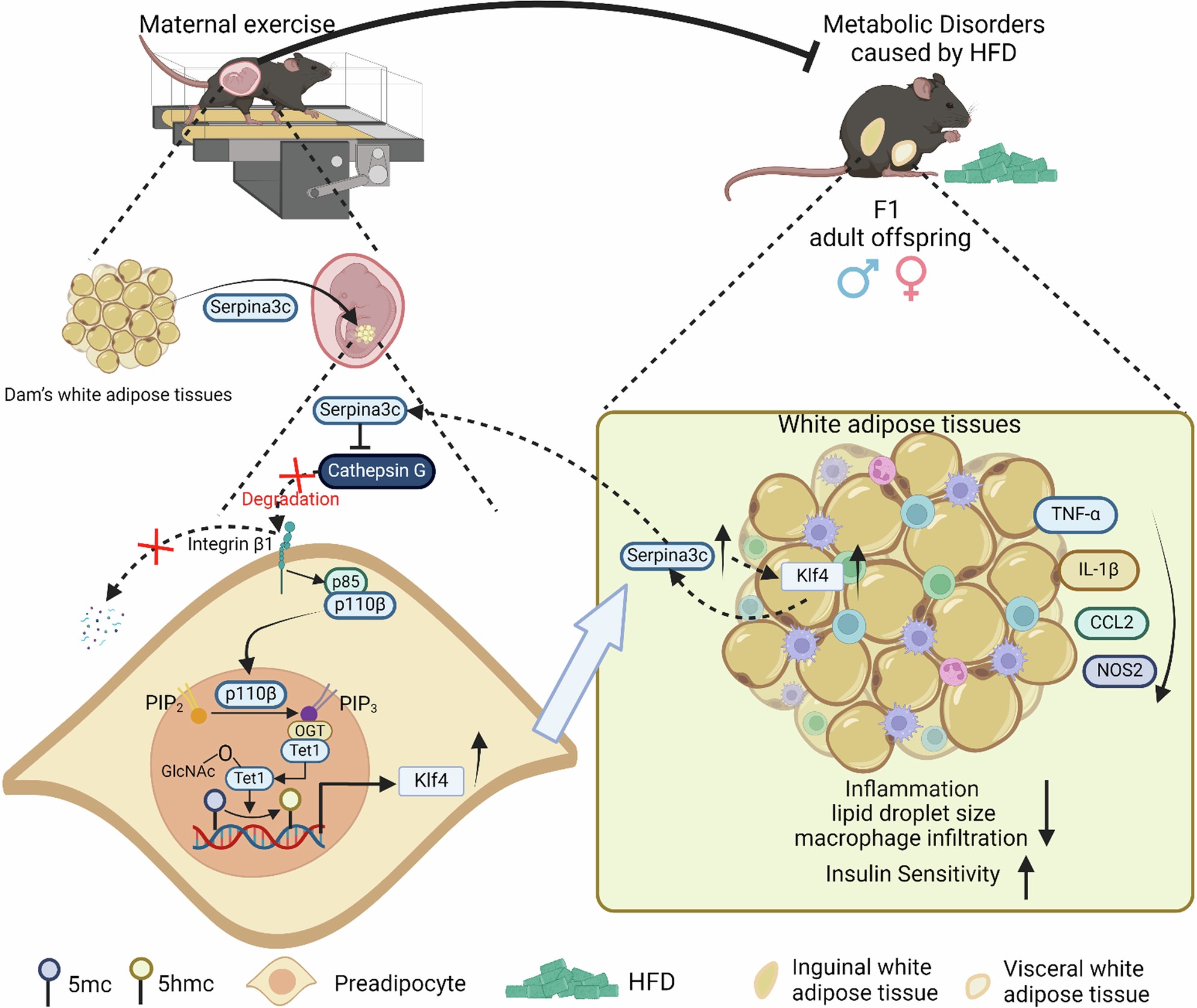 Extended Data Fig. 10