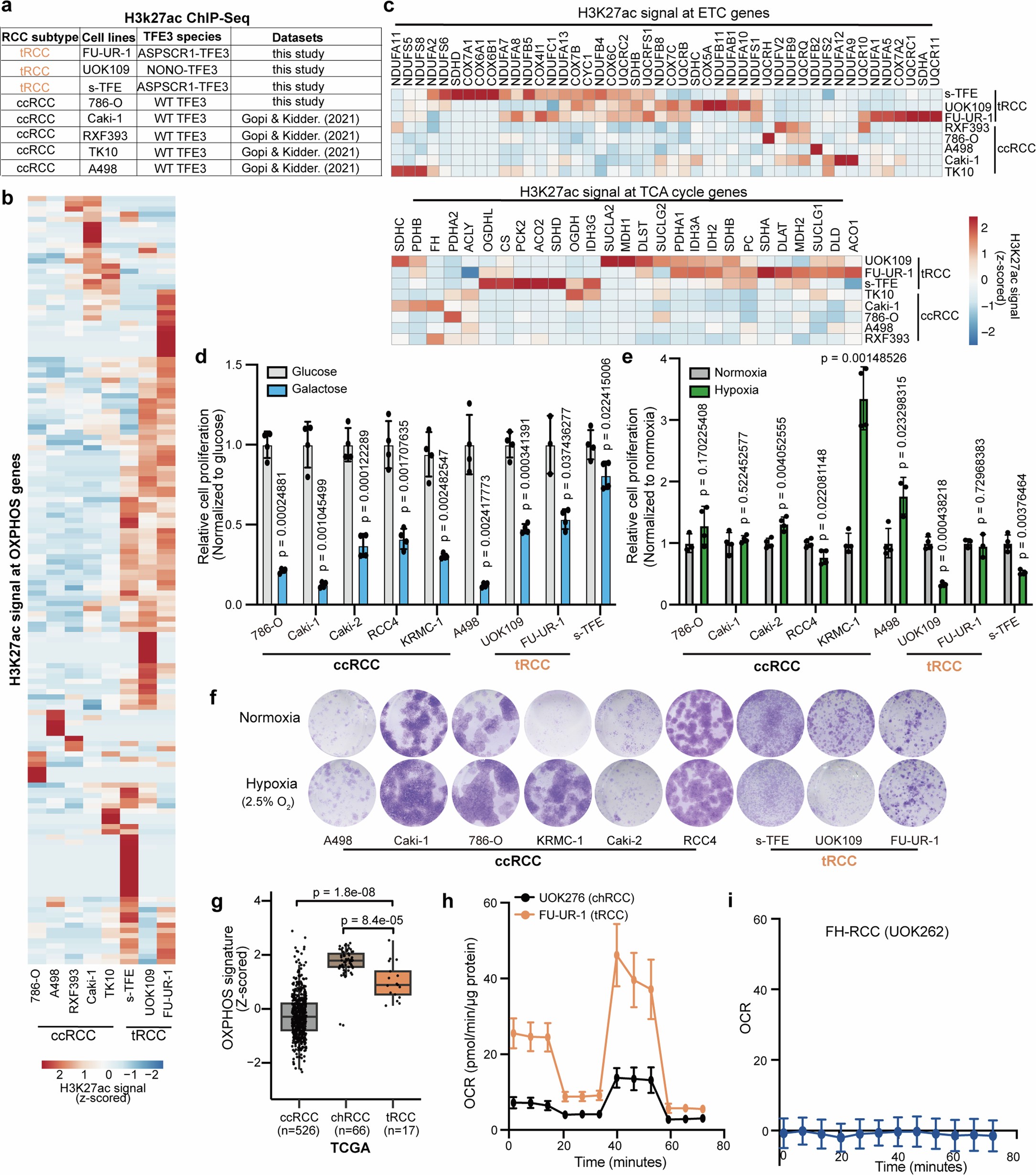 Extended Data Fig. 1: tRCCs display activation of OXPHOS programmes.