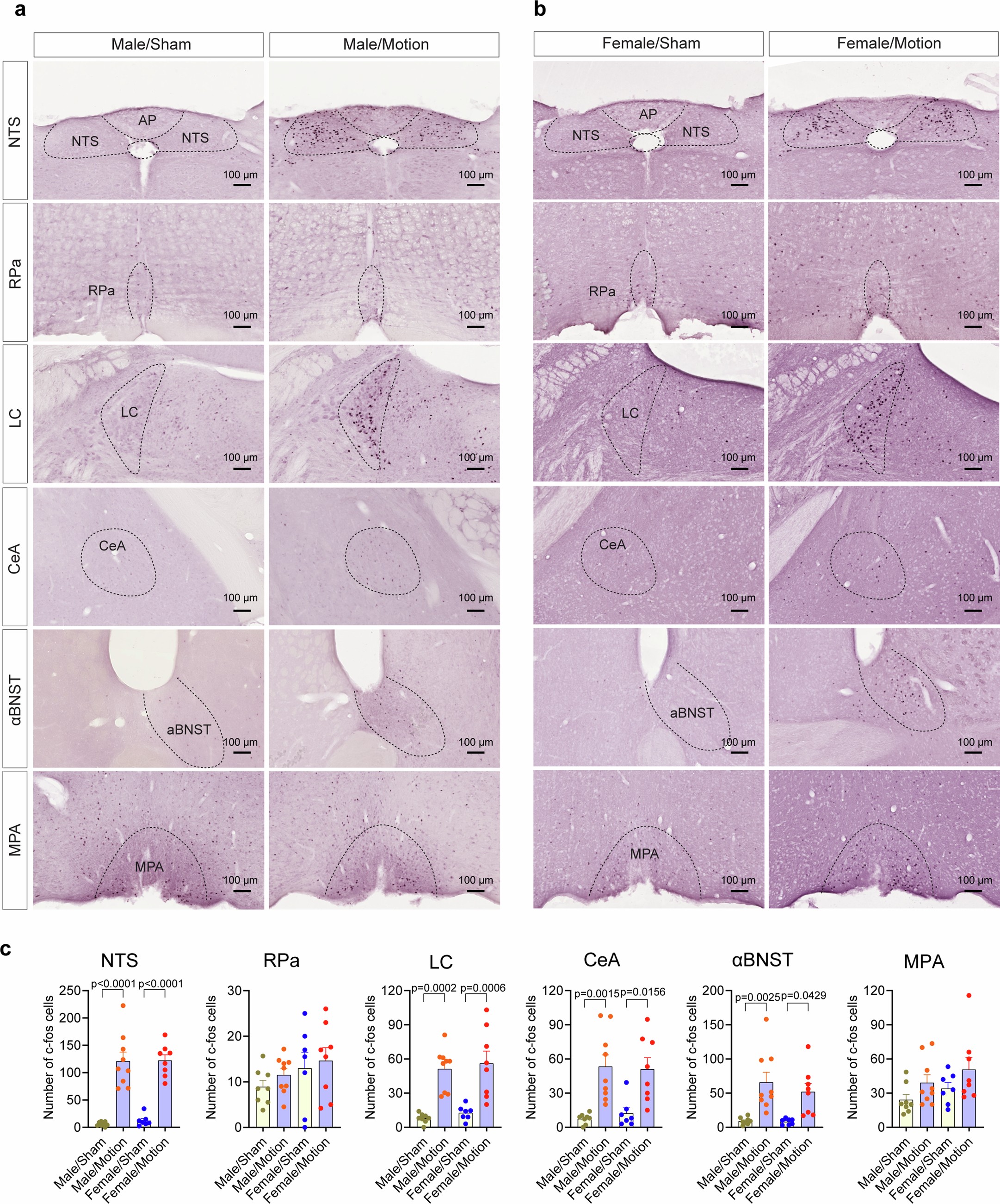 Extended Data Fig. 1: Motion elicits c-fos expression in the brain.