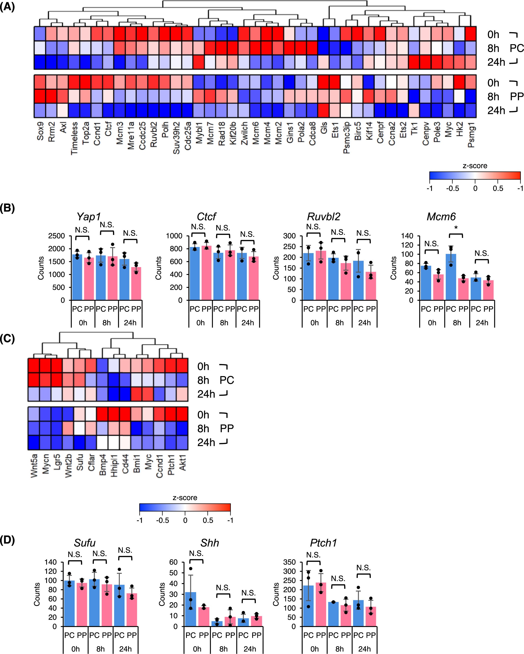Extended Data Fig. 10: HIPPO/YAP and sonic hedgehog zonation gene pathway changes in the fed, fasted and starvation states.