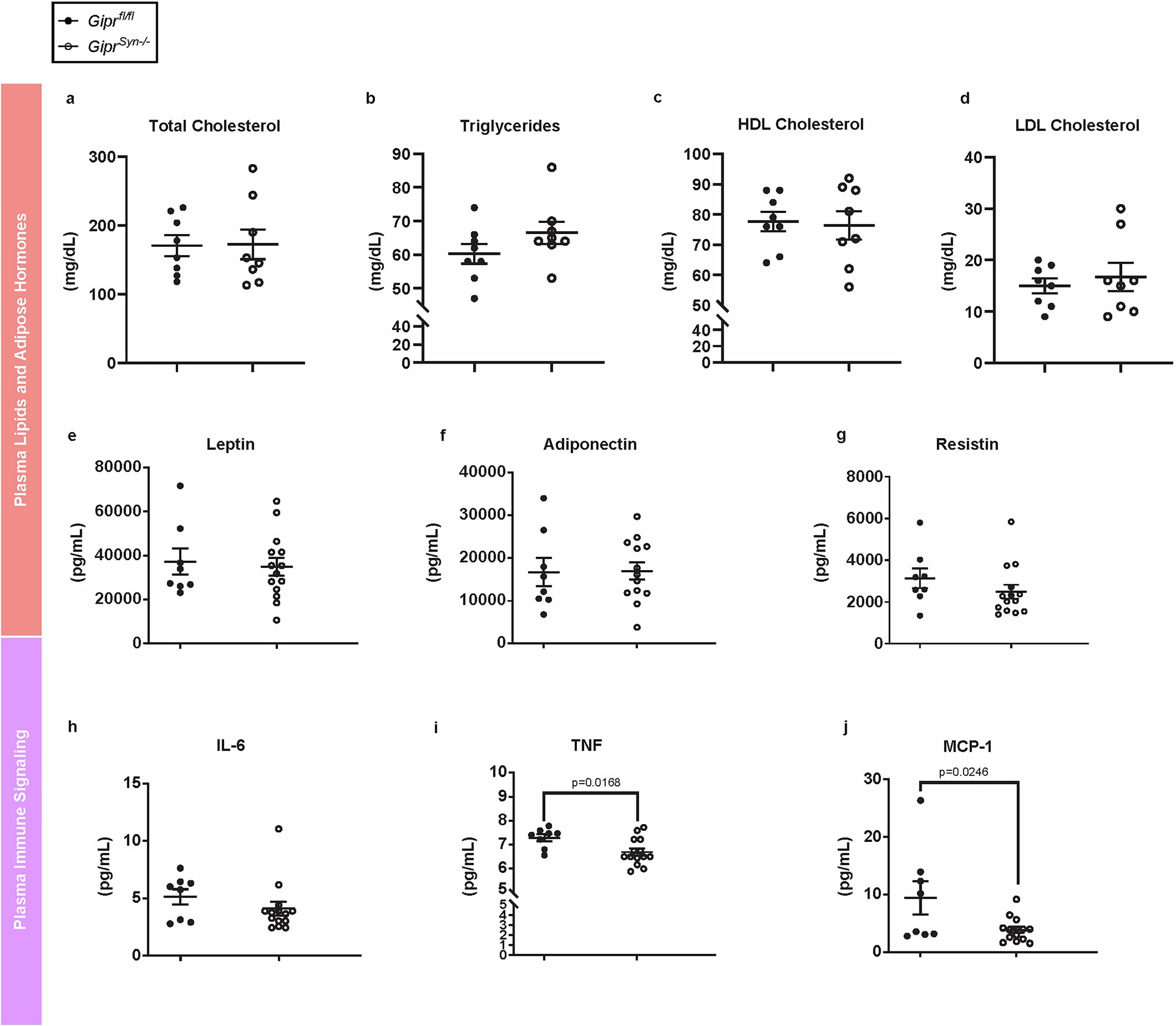 Extended Data Fig. 4: Characterization of CNS GIPR Knockout mice.