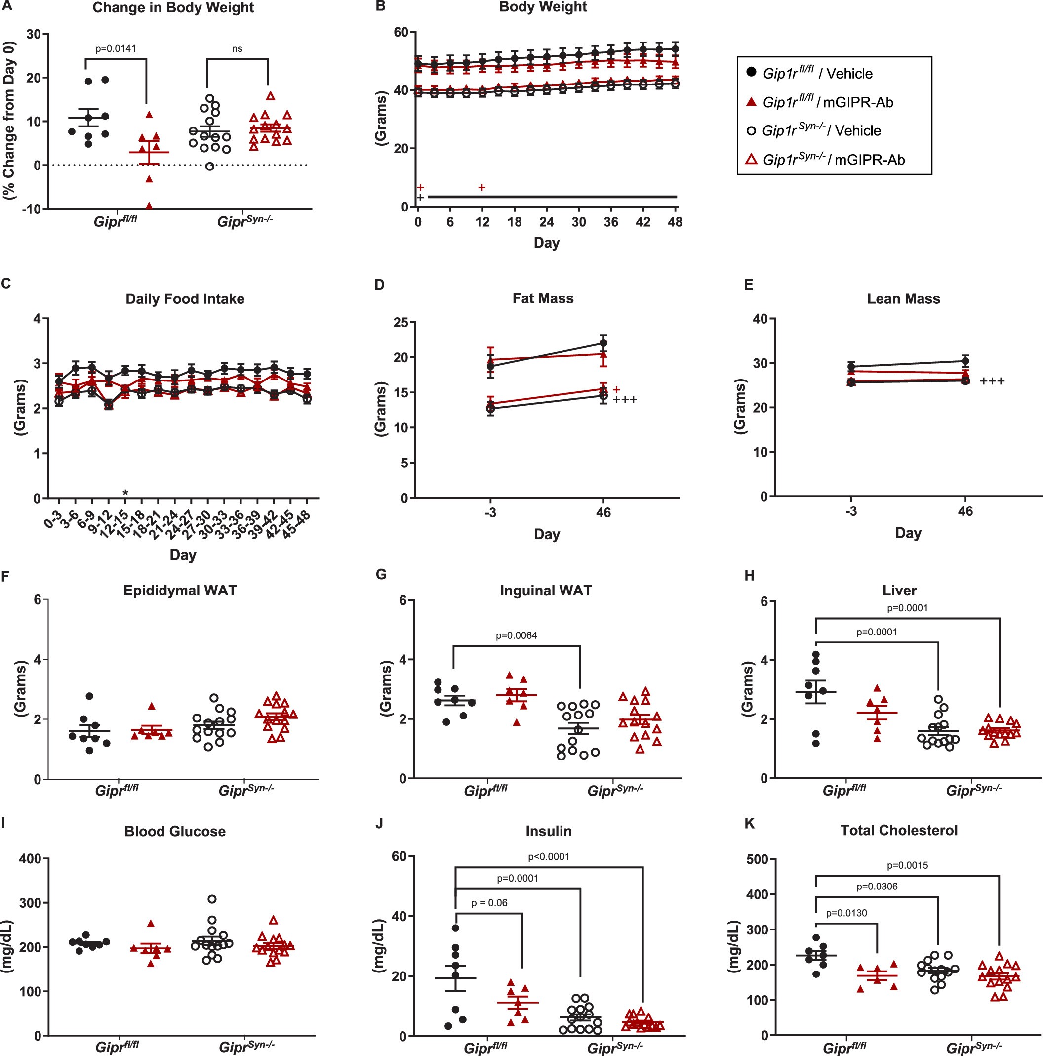 Extended Data Fig. 5: Gipr CNS KO mice are resistant to mGIPR antibody treatment.