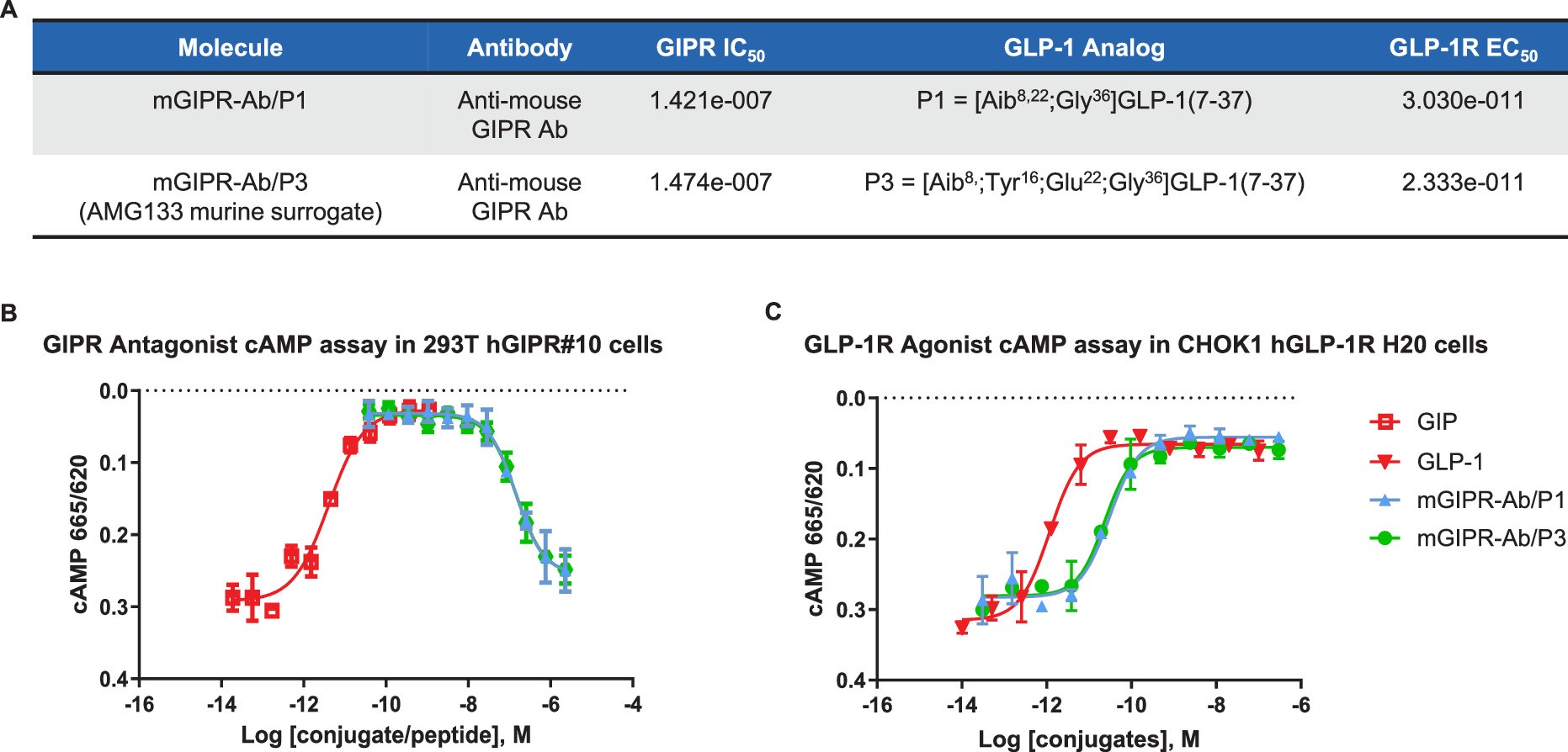 Extended Data Fig. 2: mGIPR-Ab/P1 and mGIPR-Ab/P3 have similar in vitro potency and comparable effects on cAMP activity.