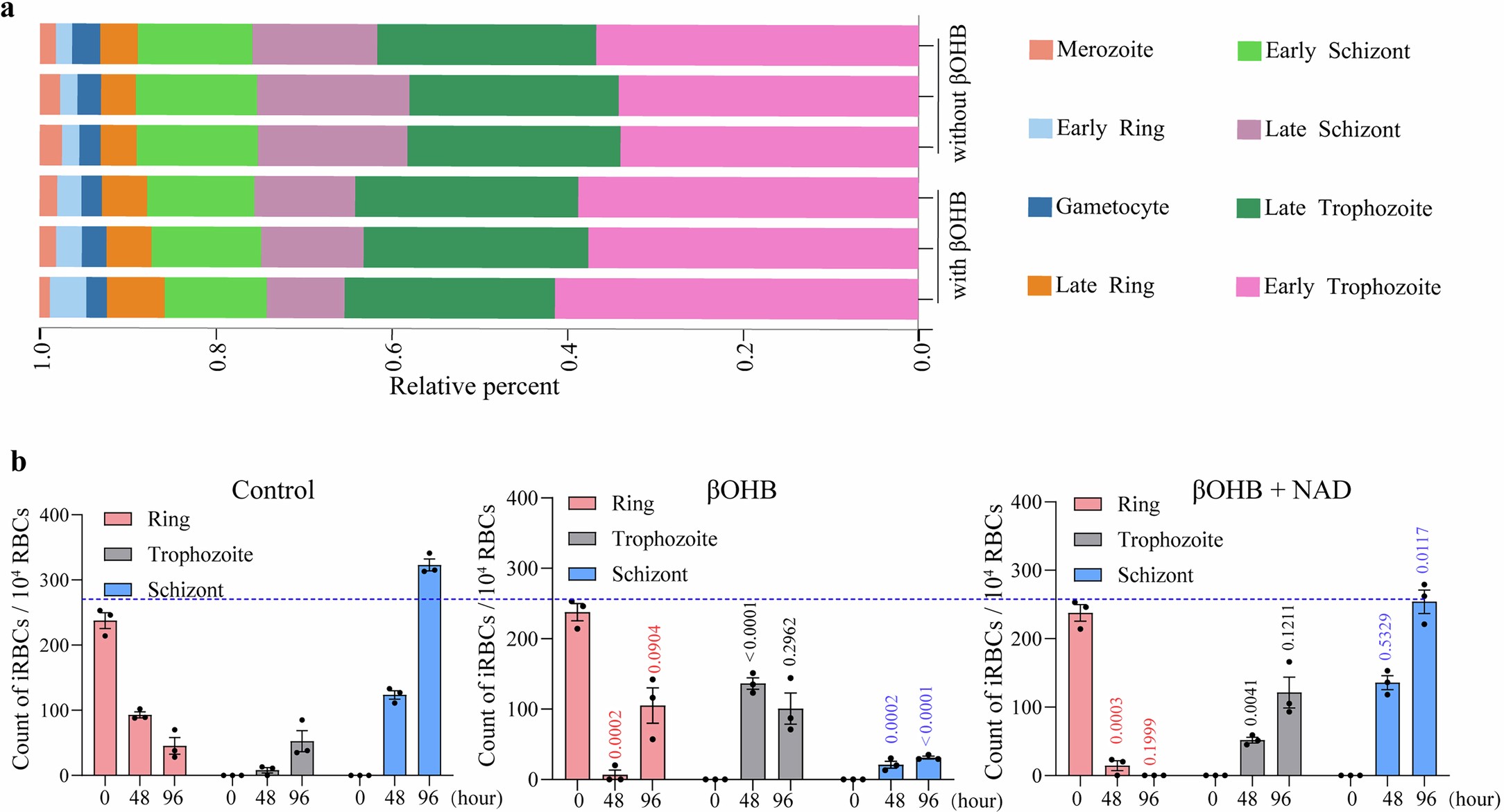 Extended Data Fig. 6: βOHB impeded the development of P. falciparum 3D7.