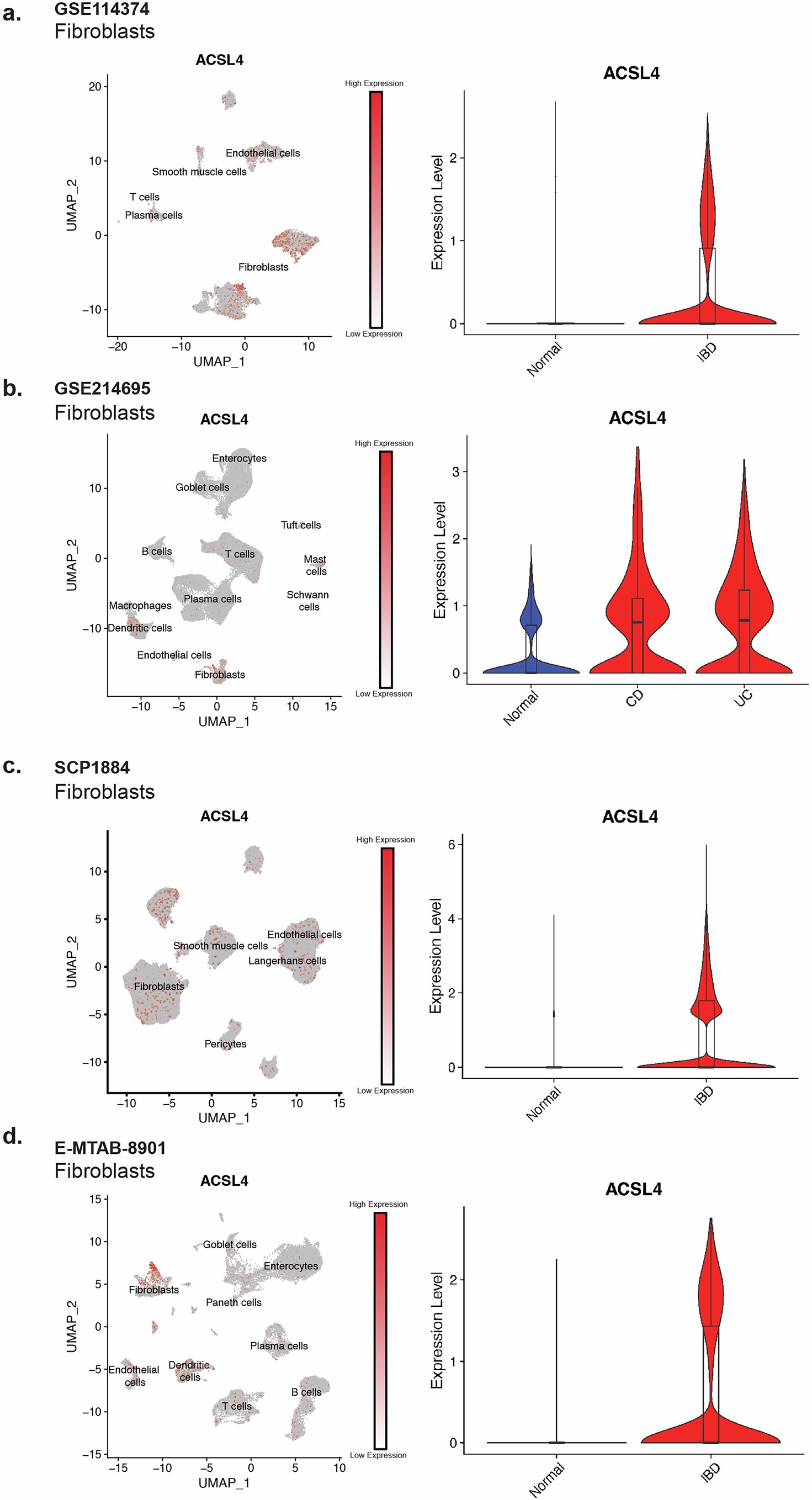 Extended Data Fig. 5: ACSL4 expression is increased in fibroblasts in IBD tissue.
