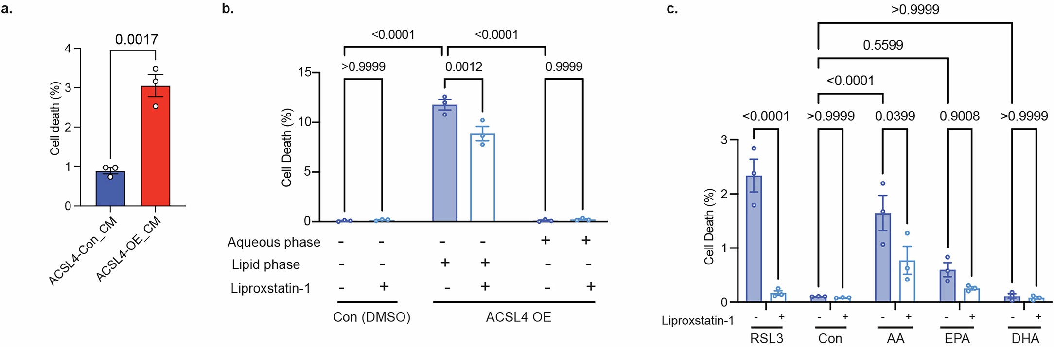 Extended Data Fig. 7: ACSL4 in fibroblast sensitizes epithelial ferroptosis through secreted PUFA.