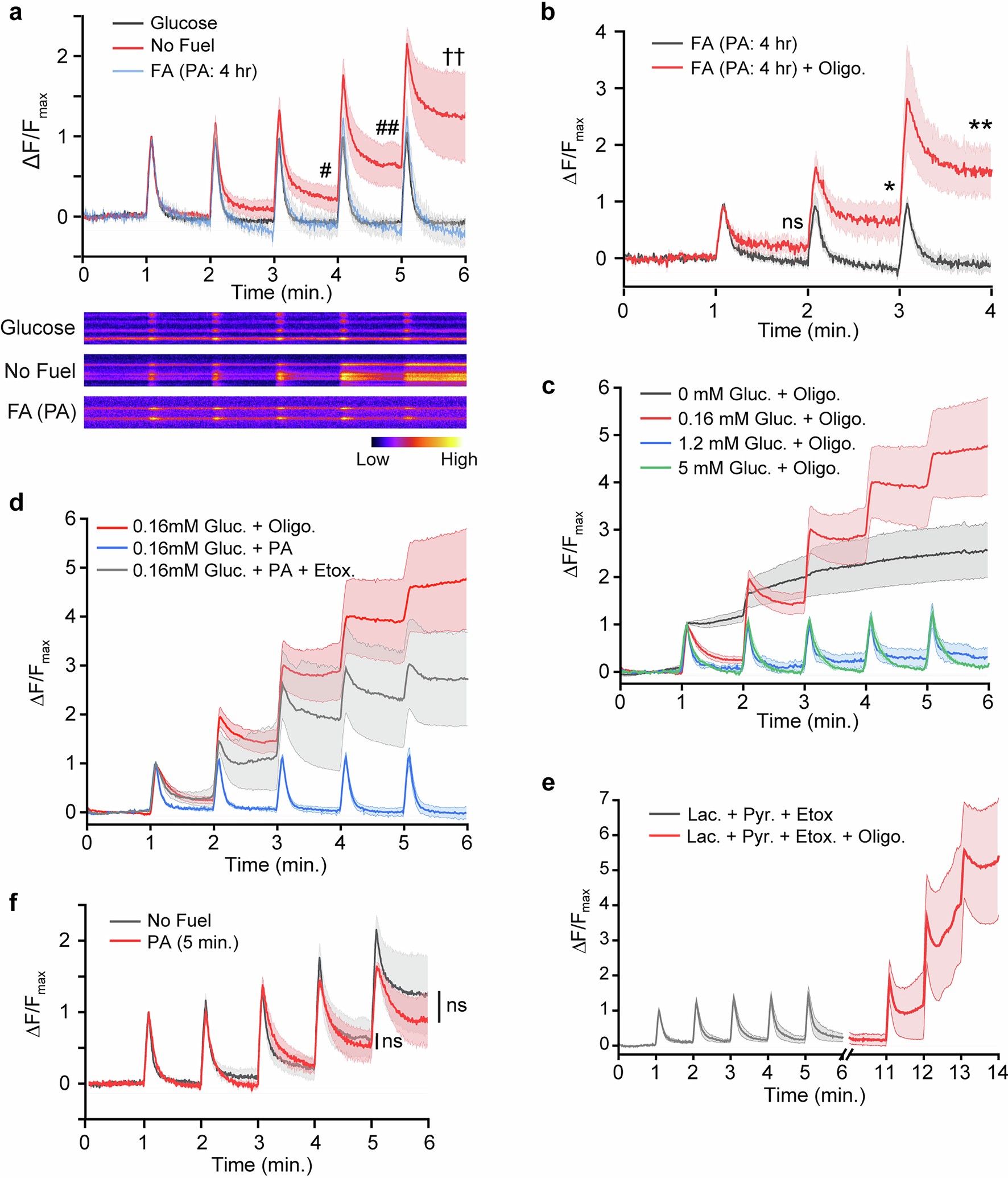 Extended Data Fig. 8: Palmitic acid (PA) supports synaptic vesicle recycling in hypometabolic condition.