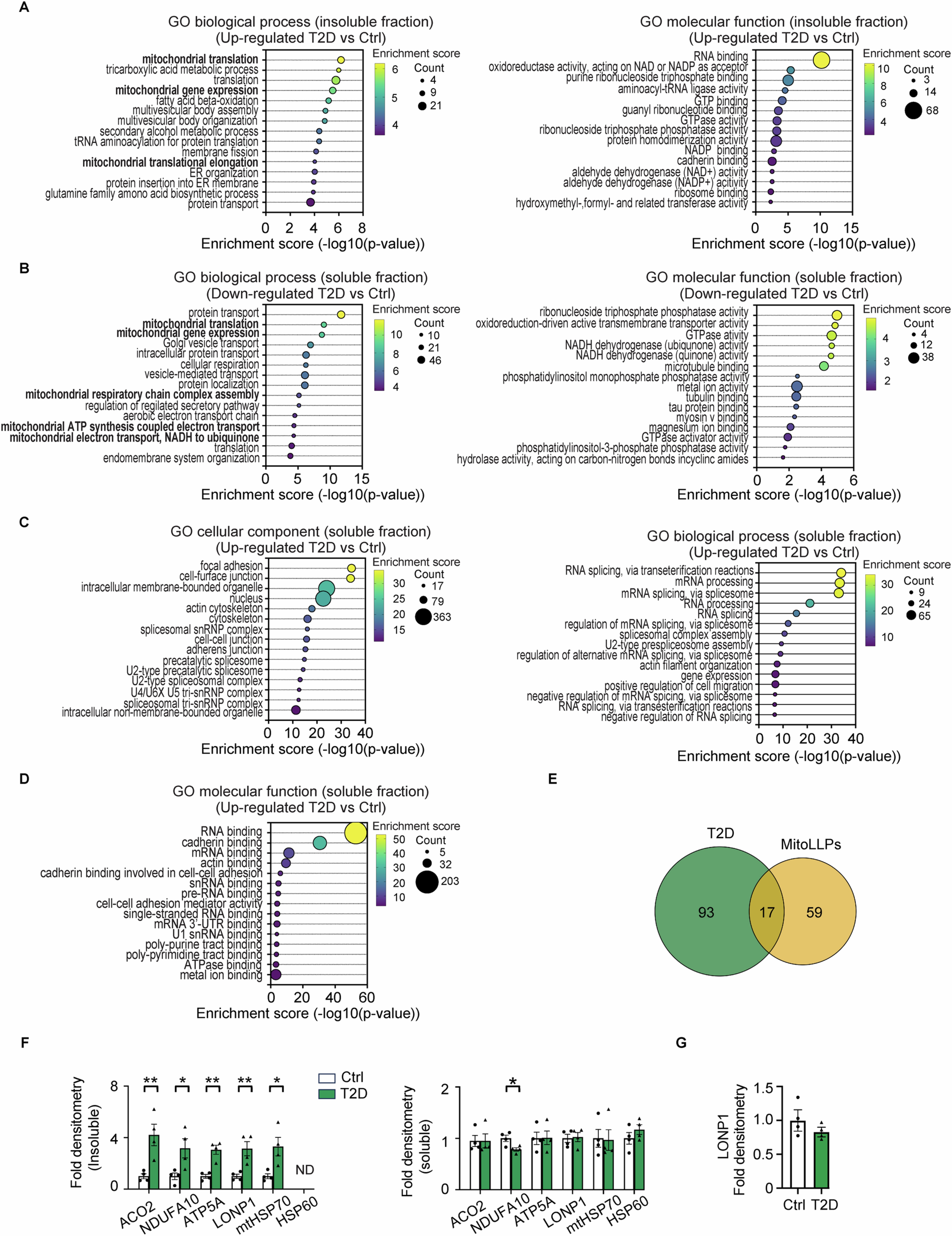 Extended Data Fig. 1: Pathway analyses of quantitative proteomics of soluble and insoluble fractions from human islet donors with or without T2D.