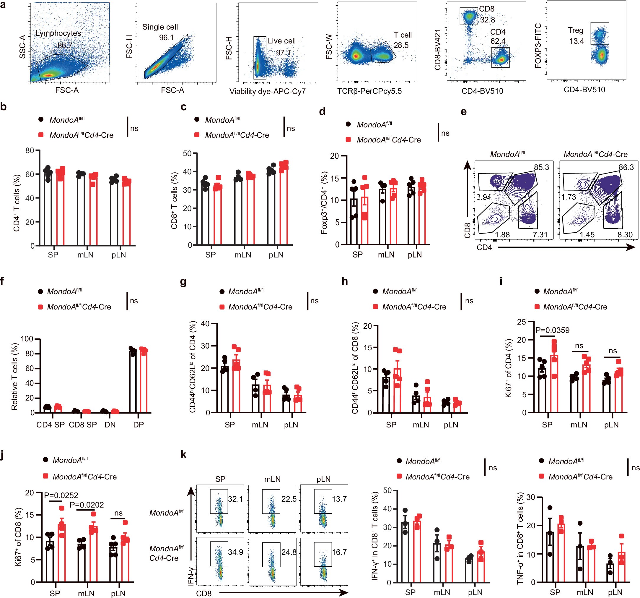 Extended Data Fig. 4: Deletion of MondoA shows minimal effect in T cell homeostasis, related to Fig. 5.