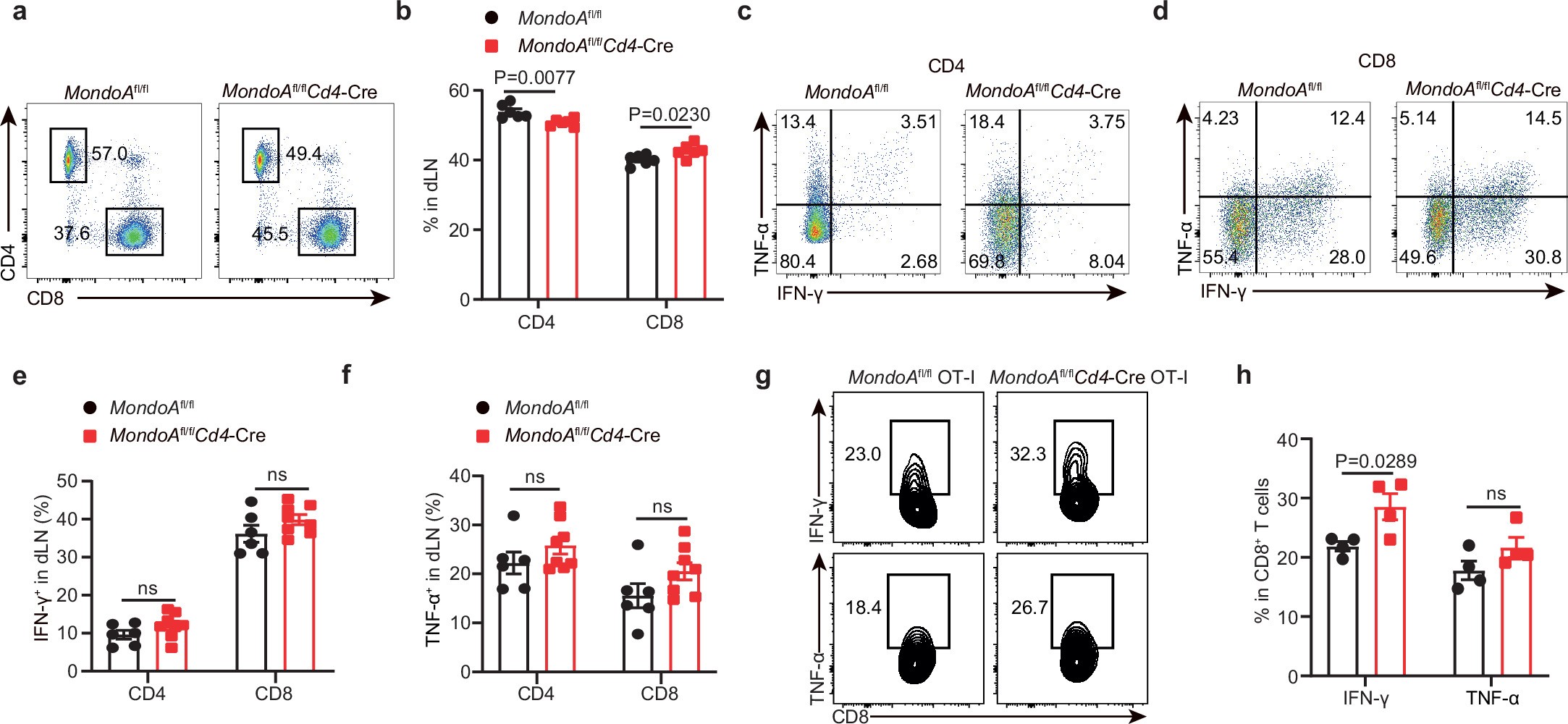 Extended Data Fig. 5: MondoA ablation potentiates tumor-infiltrating CD8+ T cell antitumor immunity in vivo, related to Fig. 5.