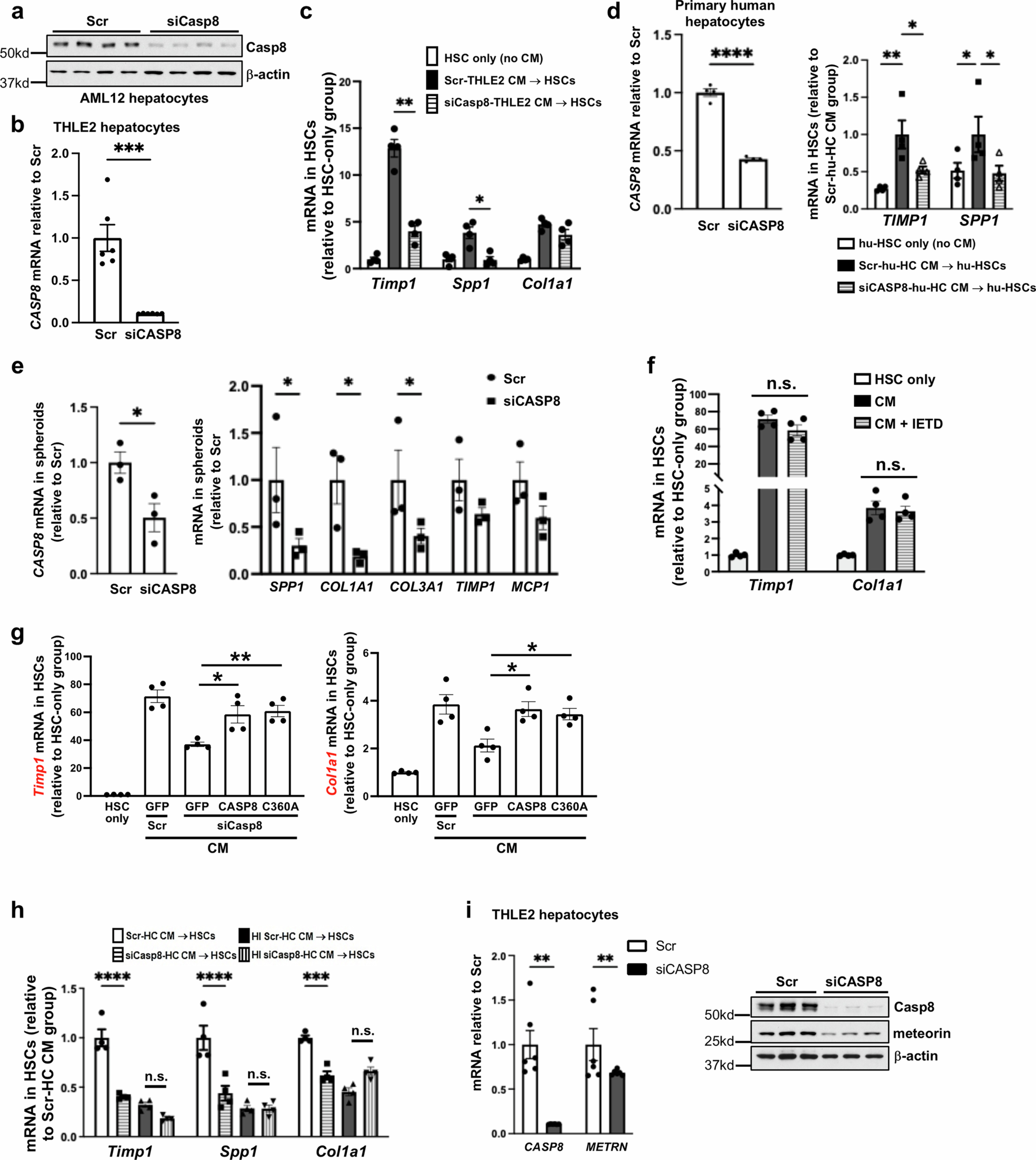 Extended Data Fig. 3: Extended information on hepatocyte caspase-8-induced HSC activation, related to Fig. 3.