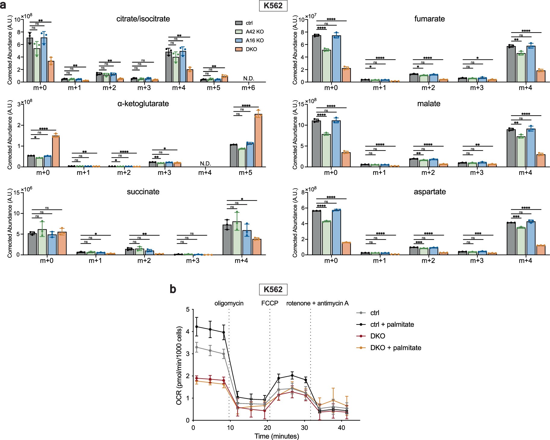 Extended Data Fig. 5