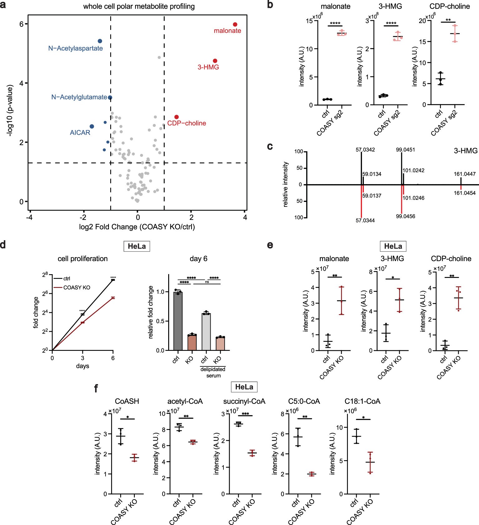 Extended Data Fig. 2: COASY supports whole-cell acyl-CoA levels and cytosolic lipid biosynthesis.