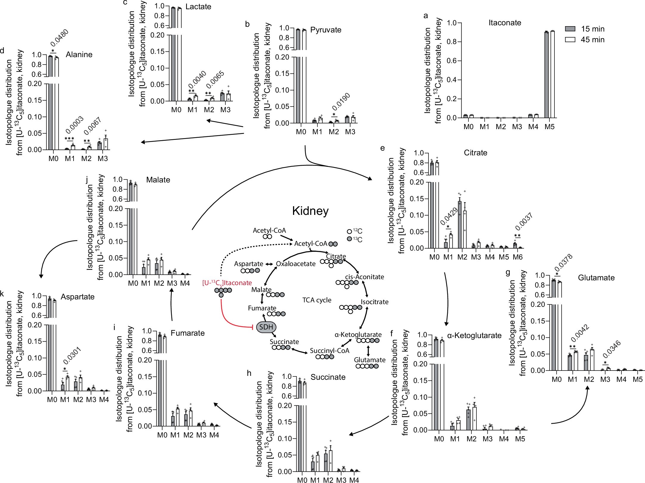 Extended Data Fig. 5