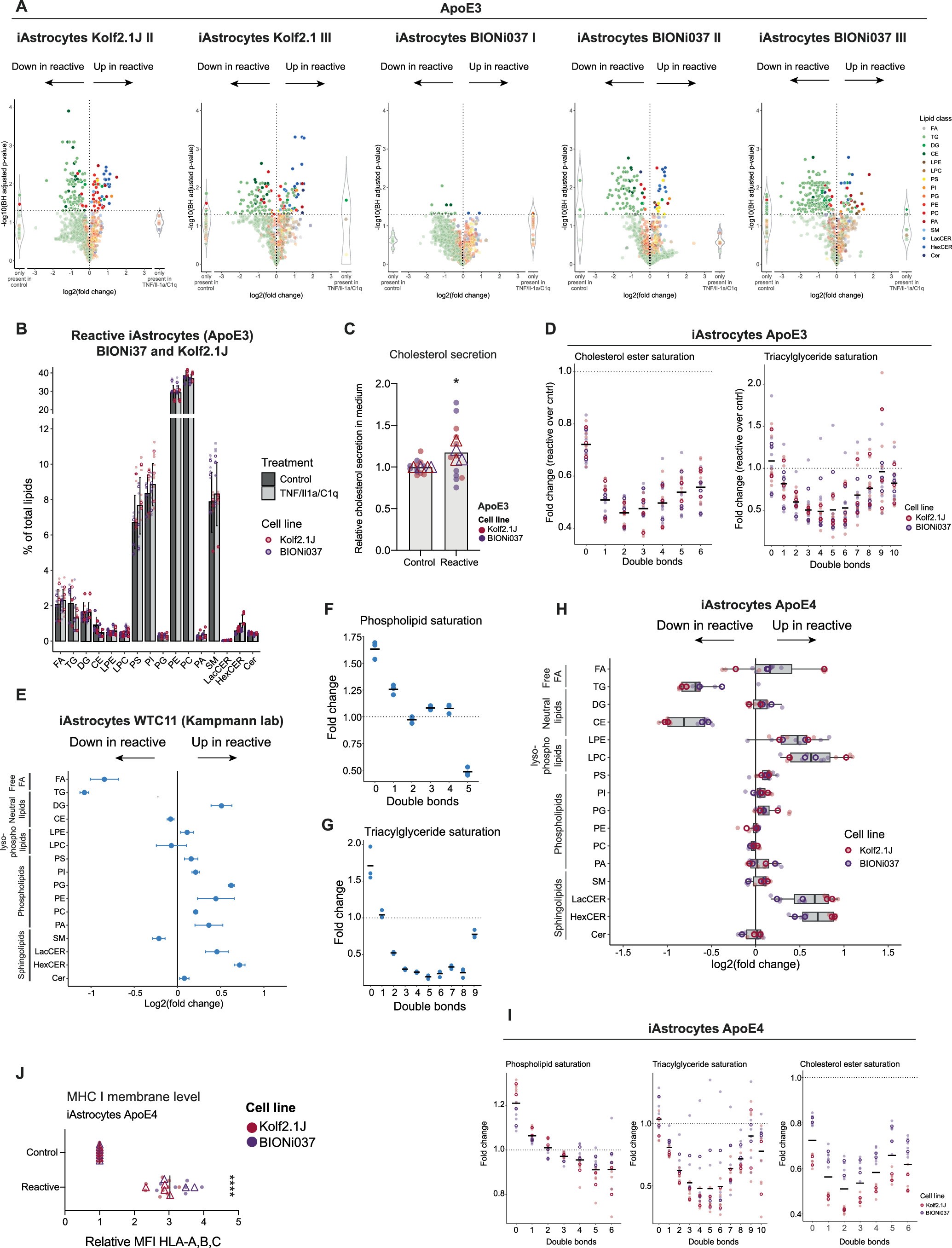 Extended Data Fig. 7: Extended lipidomics analysis of reactive human iAstrocytes.