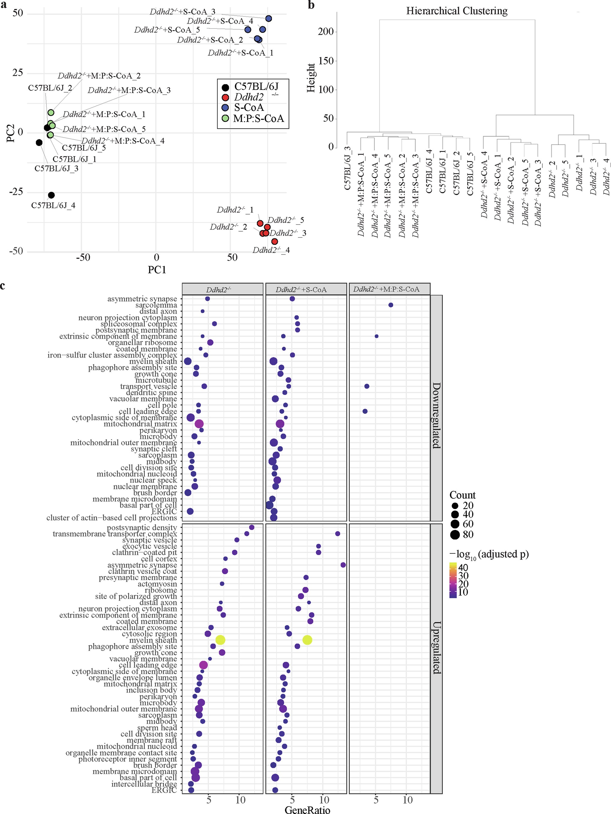 Extended Data Fig. 3