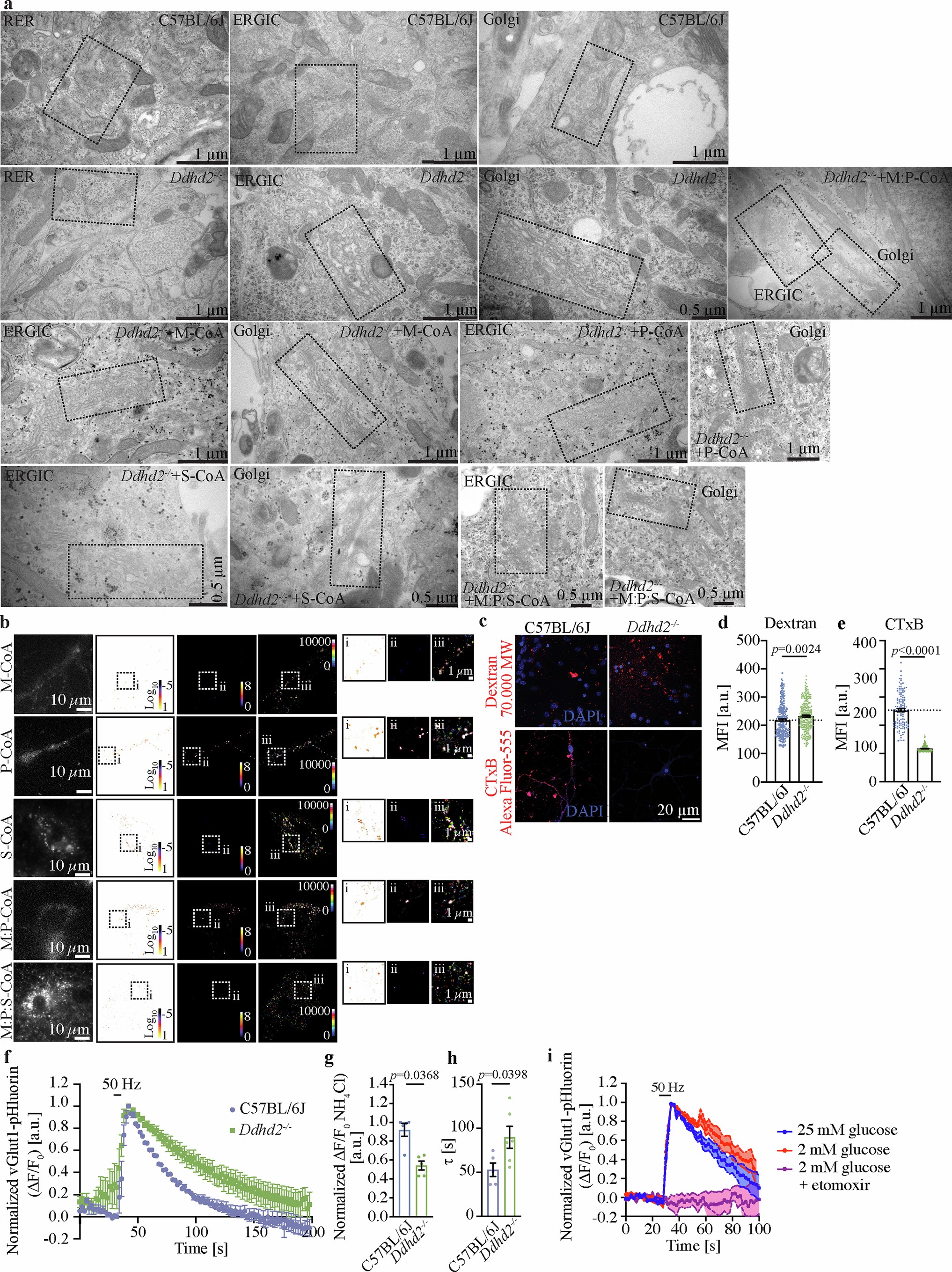 Extended Data Fig. 7