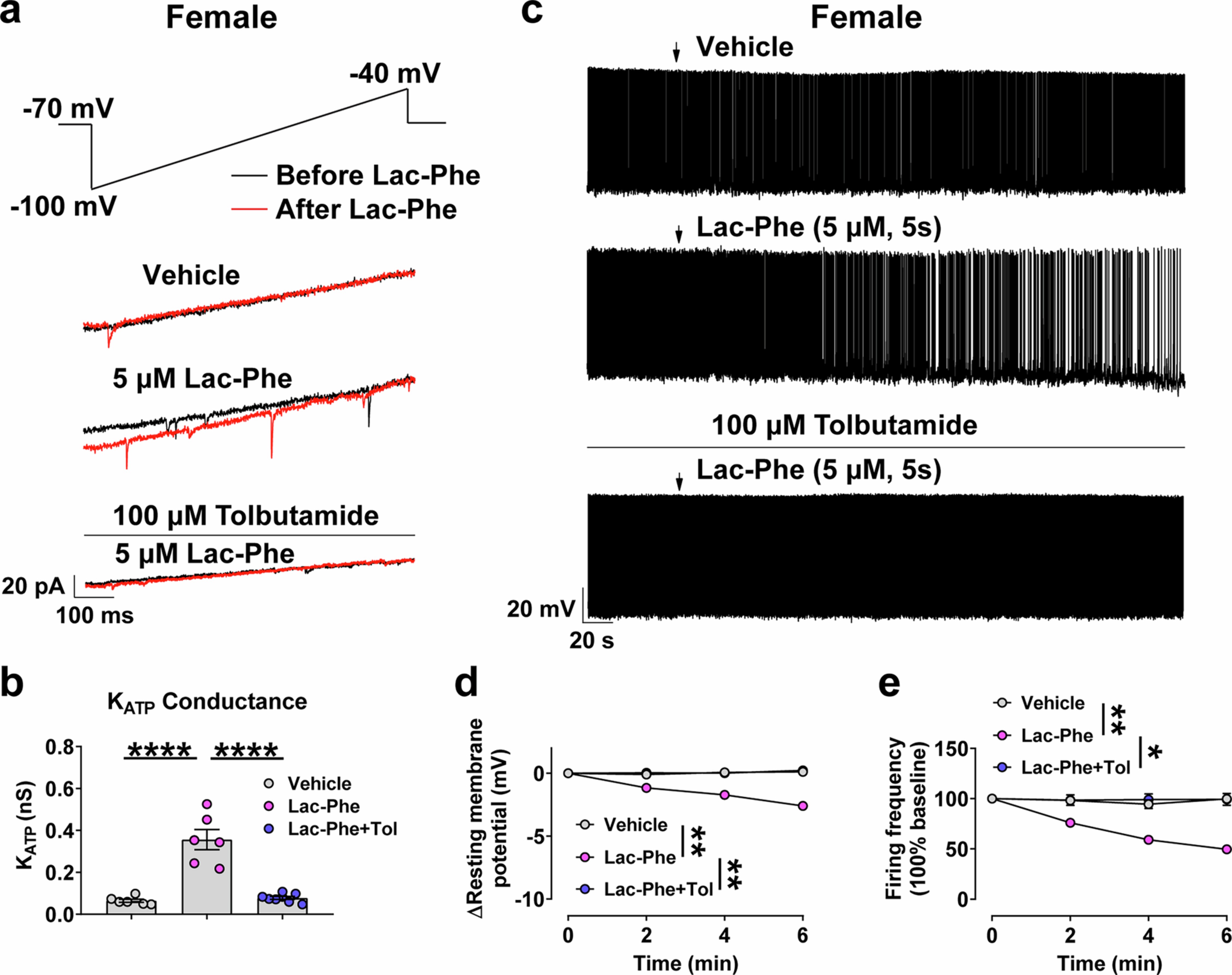 Extended Data Fig. 9: Lac-Phe enhances KATP channels in AgRP neurons of female mice.