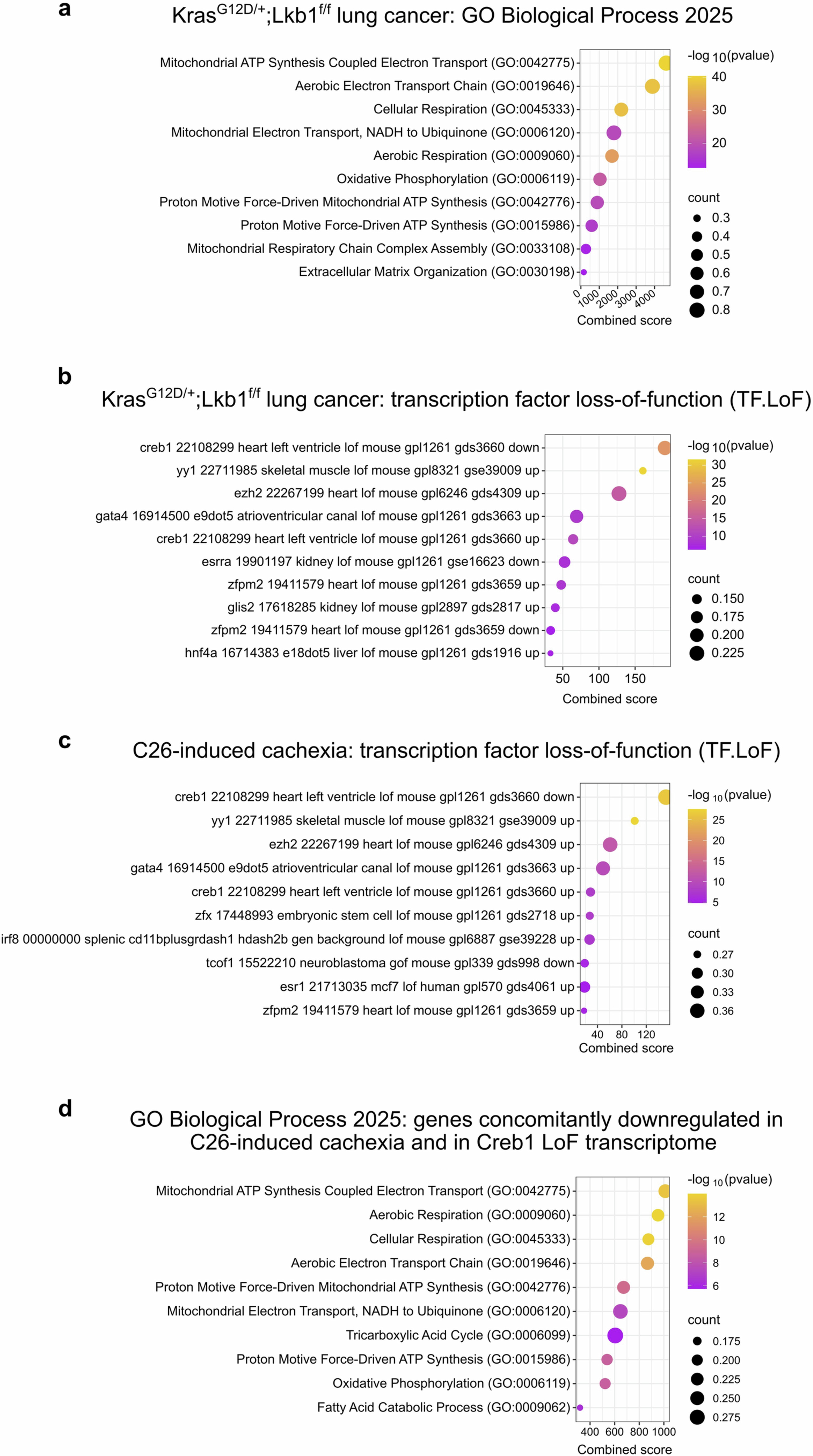 Extended Data Fig. 2: Enrichment analysis of the muscle transcriptome from KrasG12D/+; Lkb1f/f lung cancer and C26 colon carcinoma-induced cachexia mouse models.