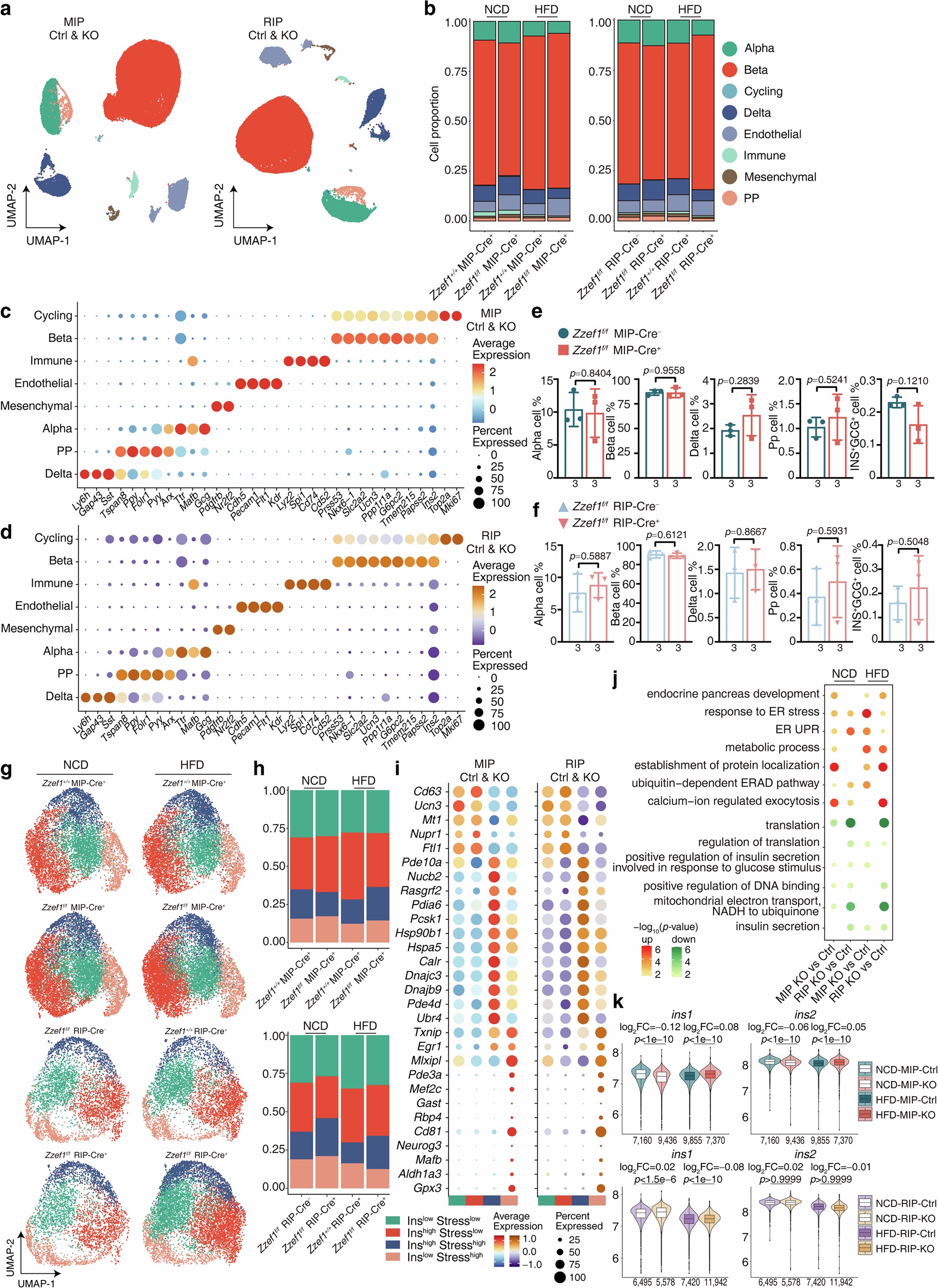 Extended Data Fig. 6