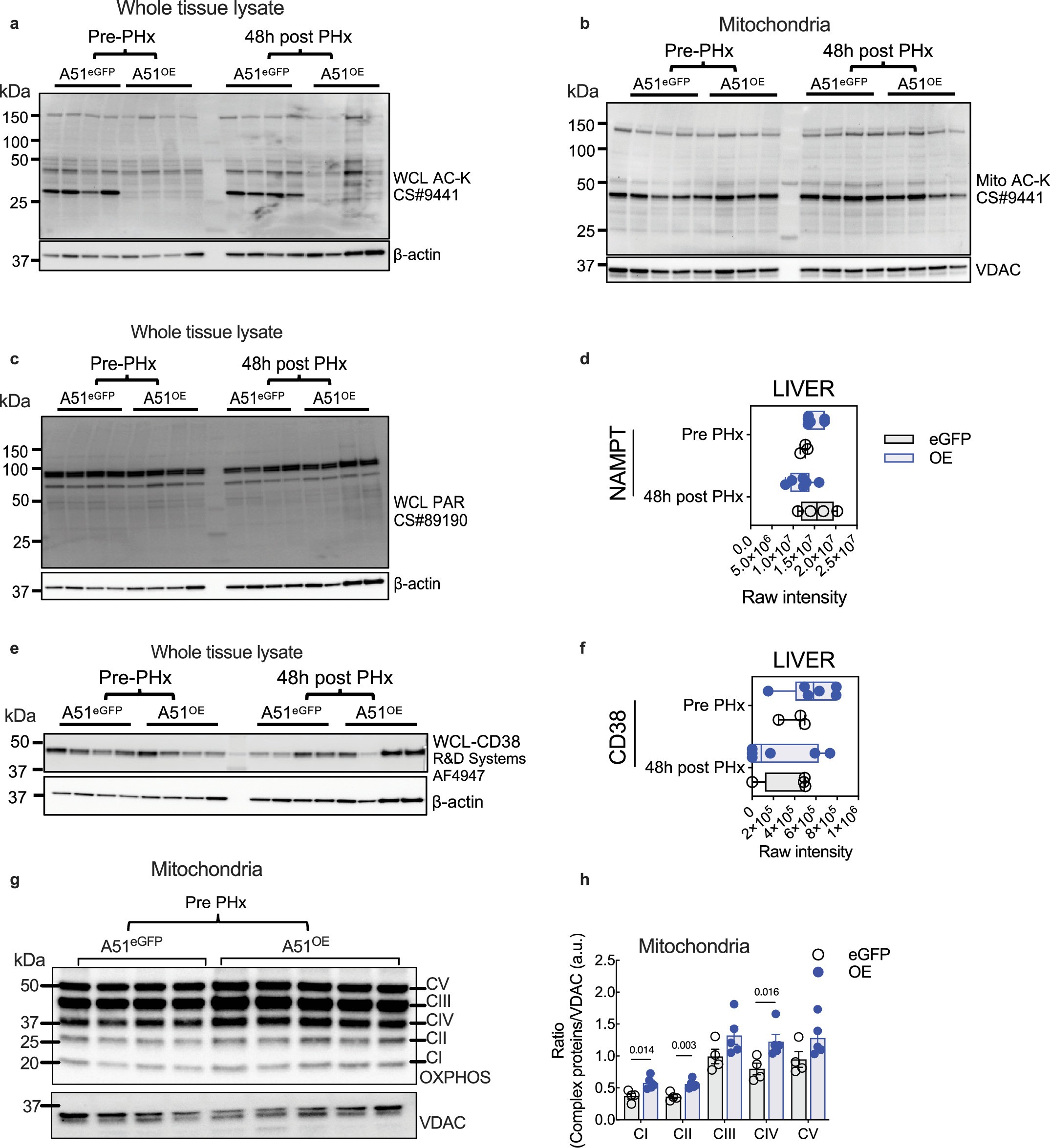 Extended Data Fig. 6