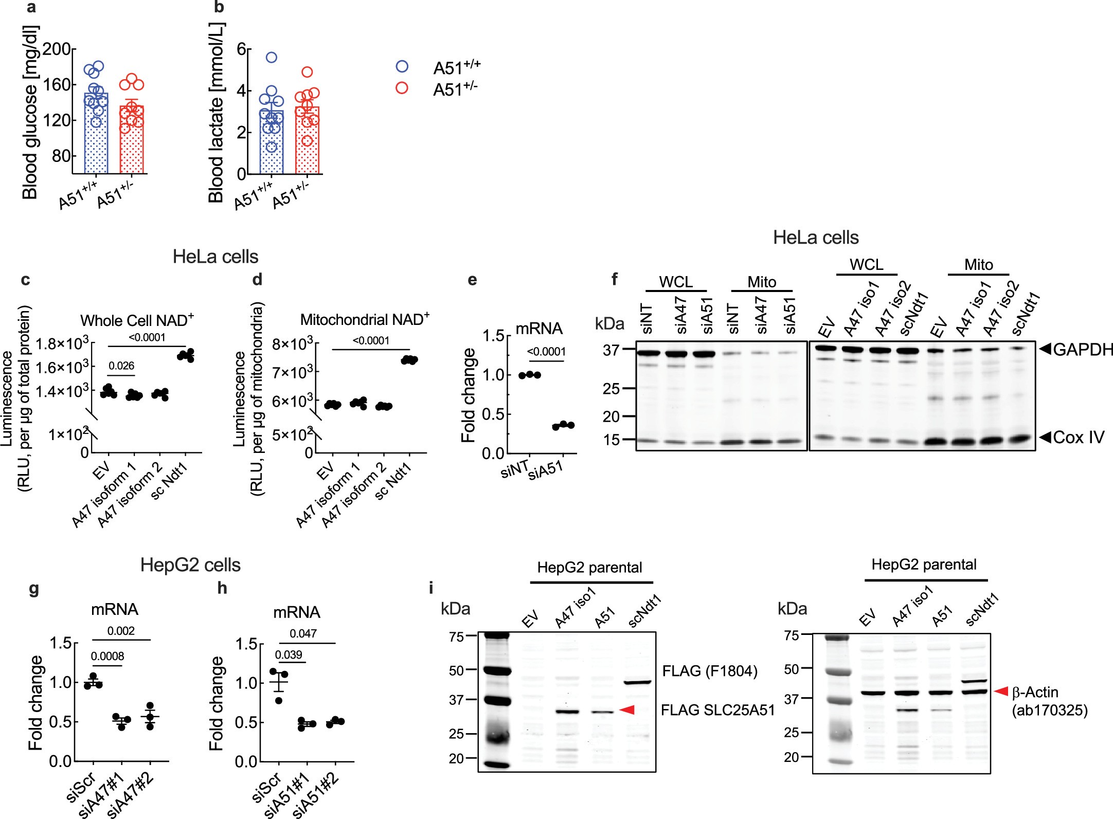 Extended Data Fig. 1