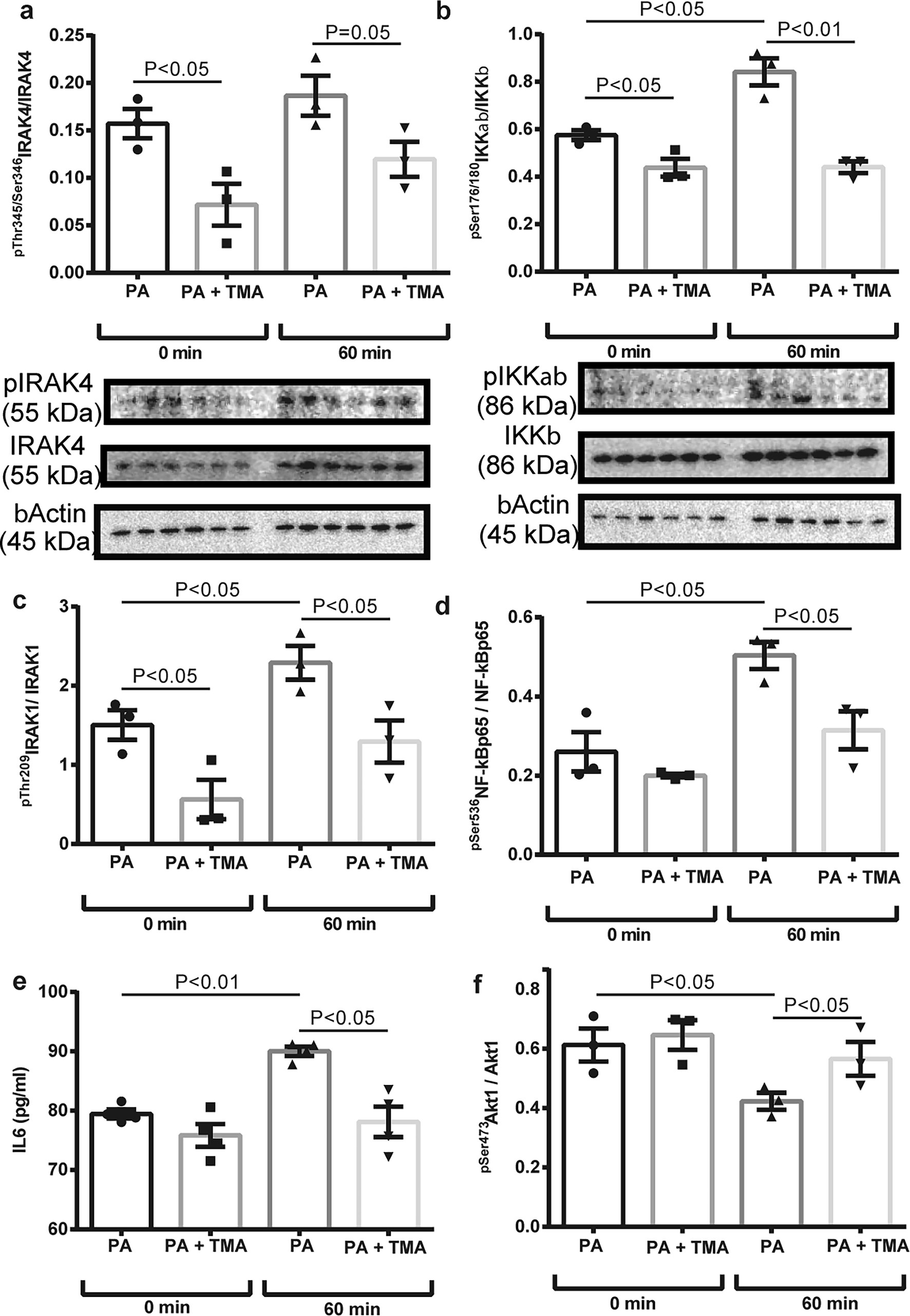 Extended Data Fig. 6