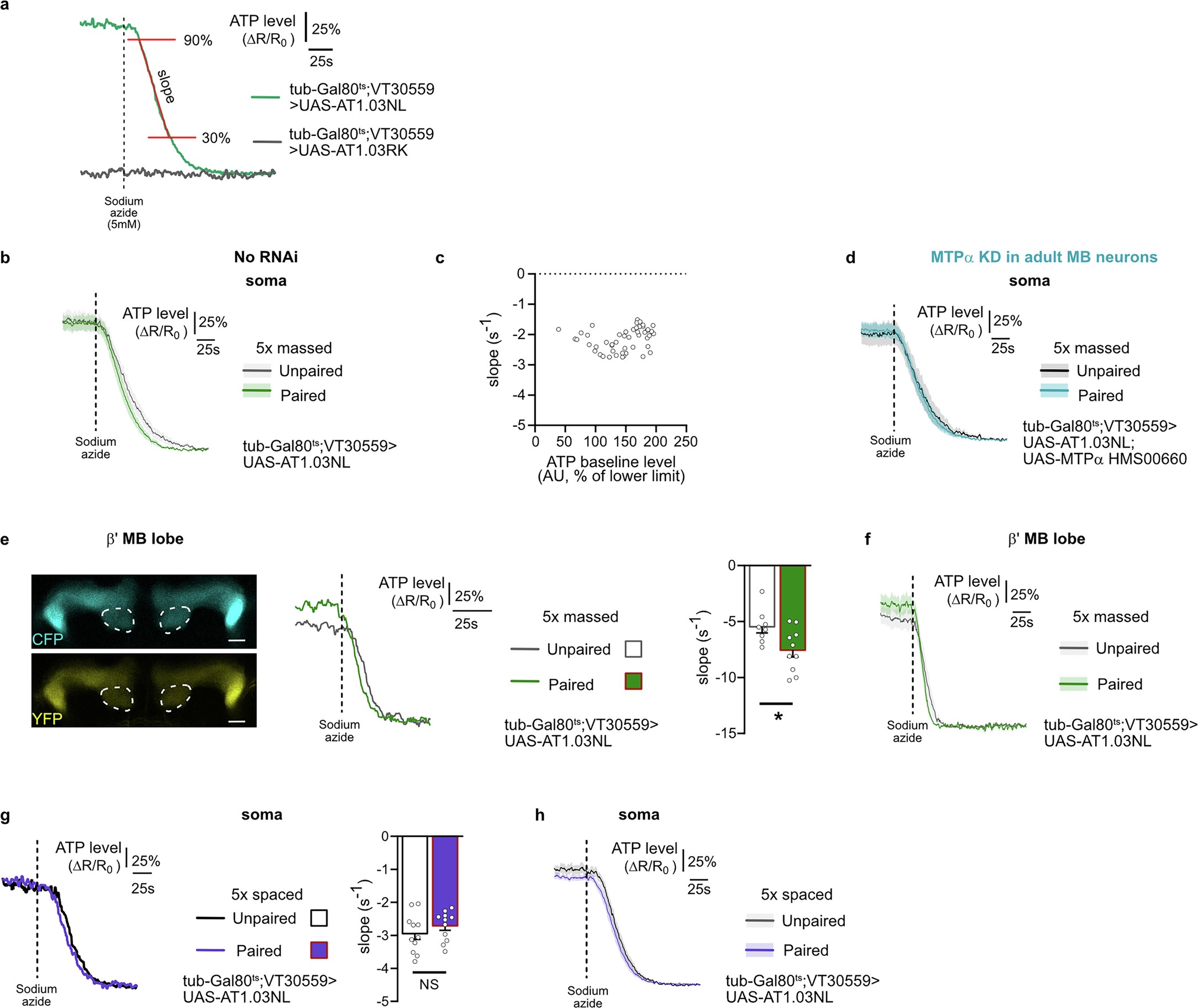 Extended Data Fig. 2