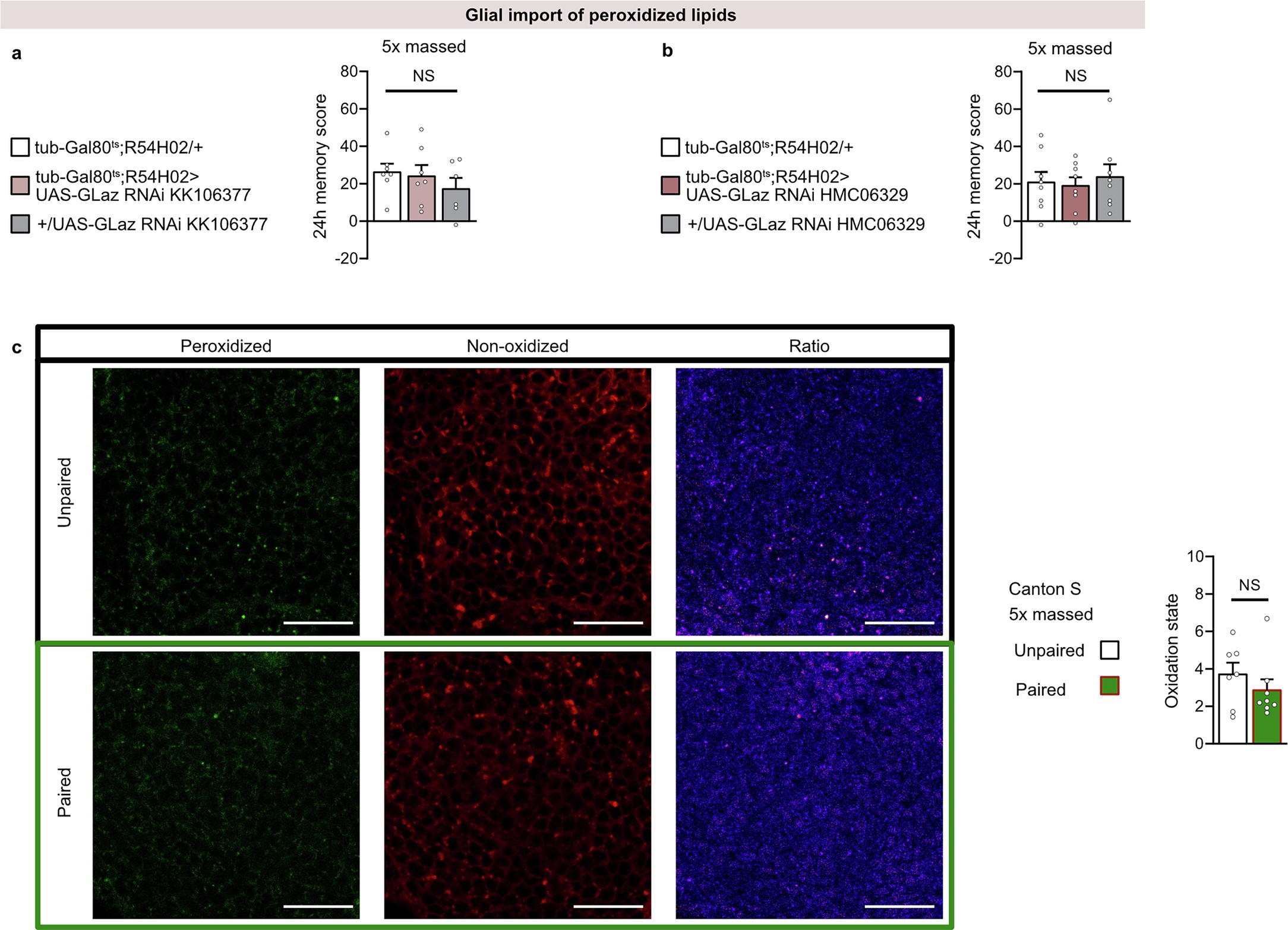 Extended Data Fig. 3