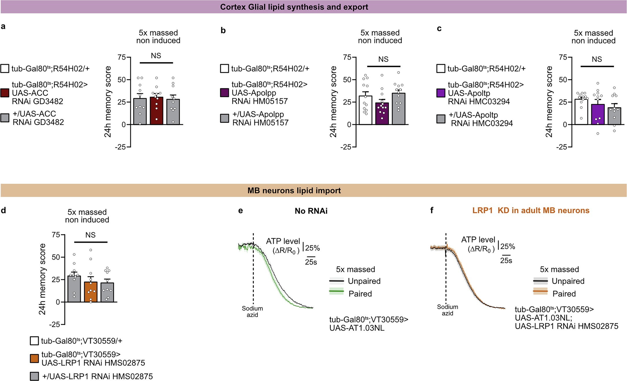 Extended Data Fig. 4