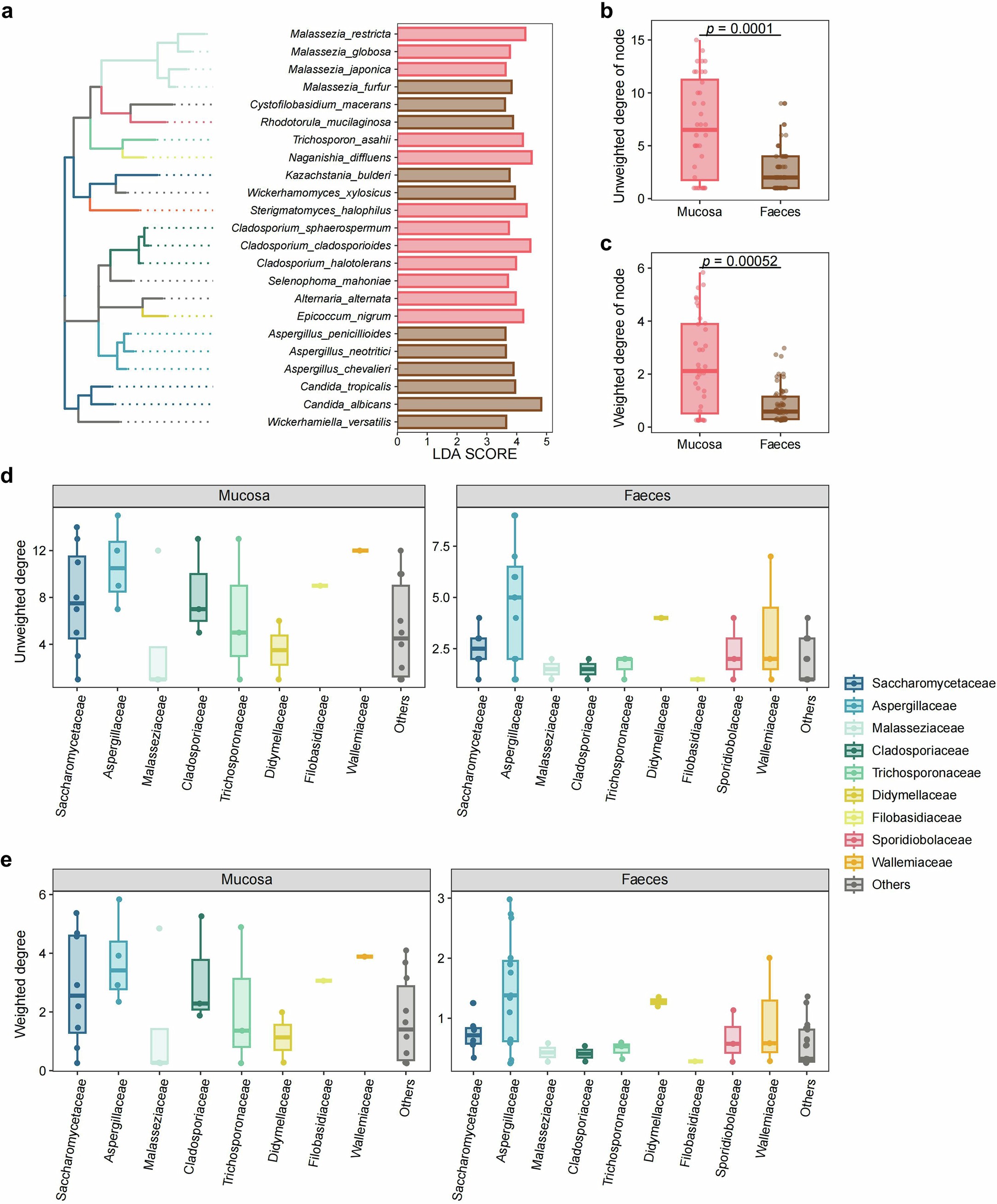 Extended Data Fig. 2: Ecological difference in the mucosal mycobiome versus the faecal mycobiome.