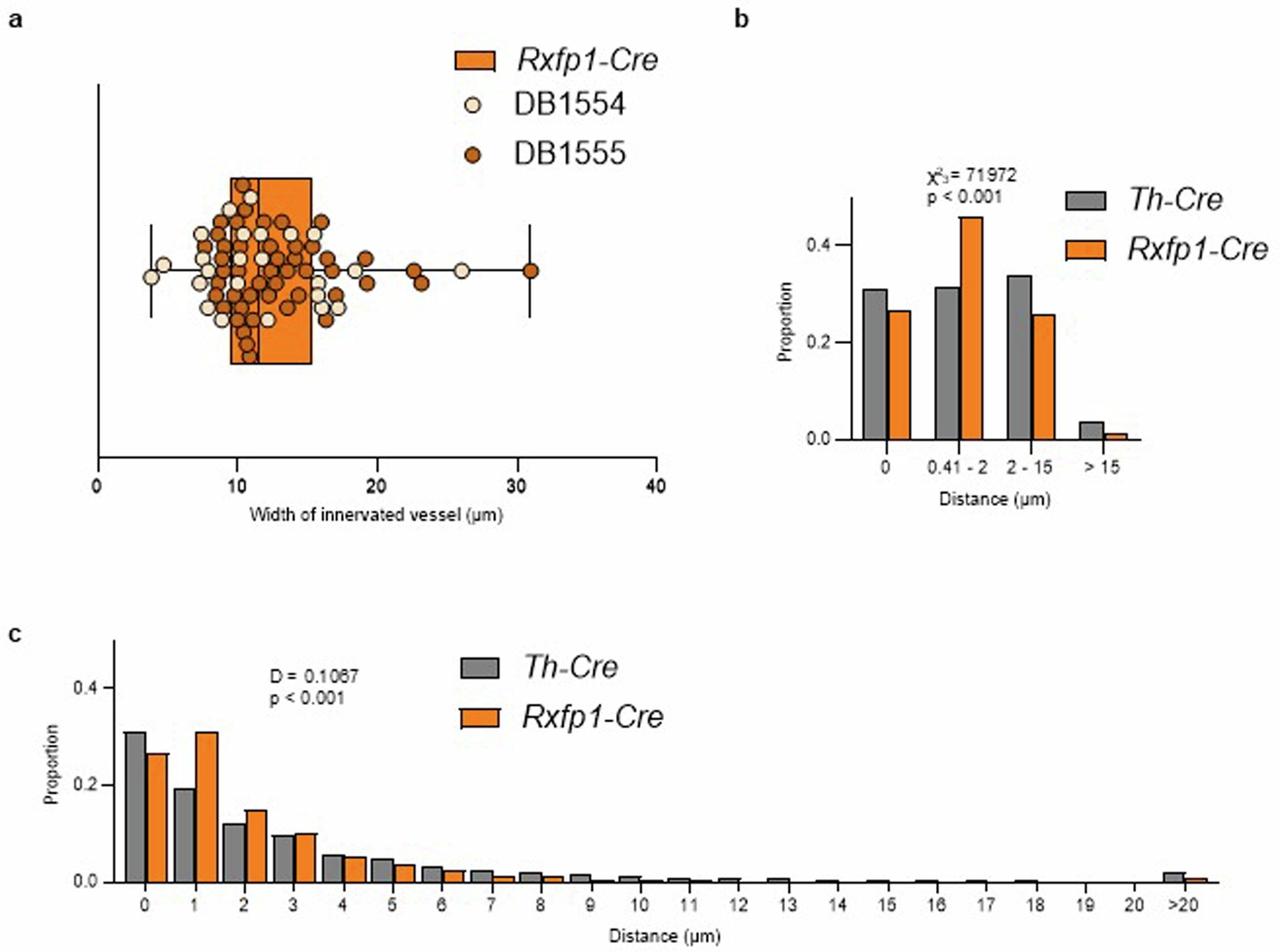 Extended Data Fig. 10: Nerves from Rxfp1+ sympathetic neurons are closely associated with blood vessels in mouse iBAT.