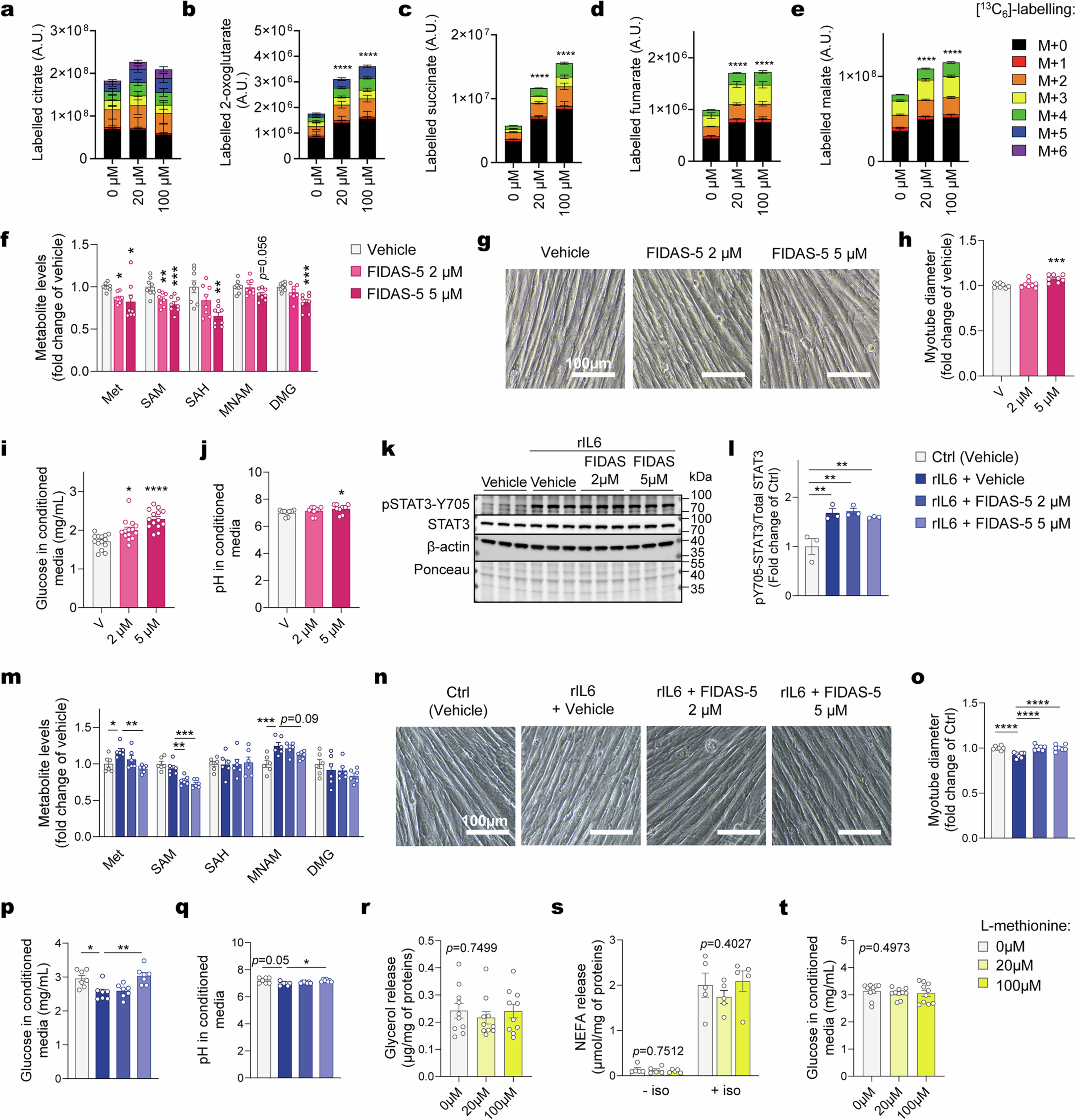 Extended Data Fig. 6