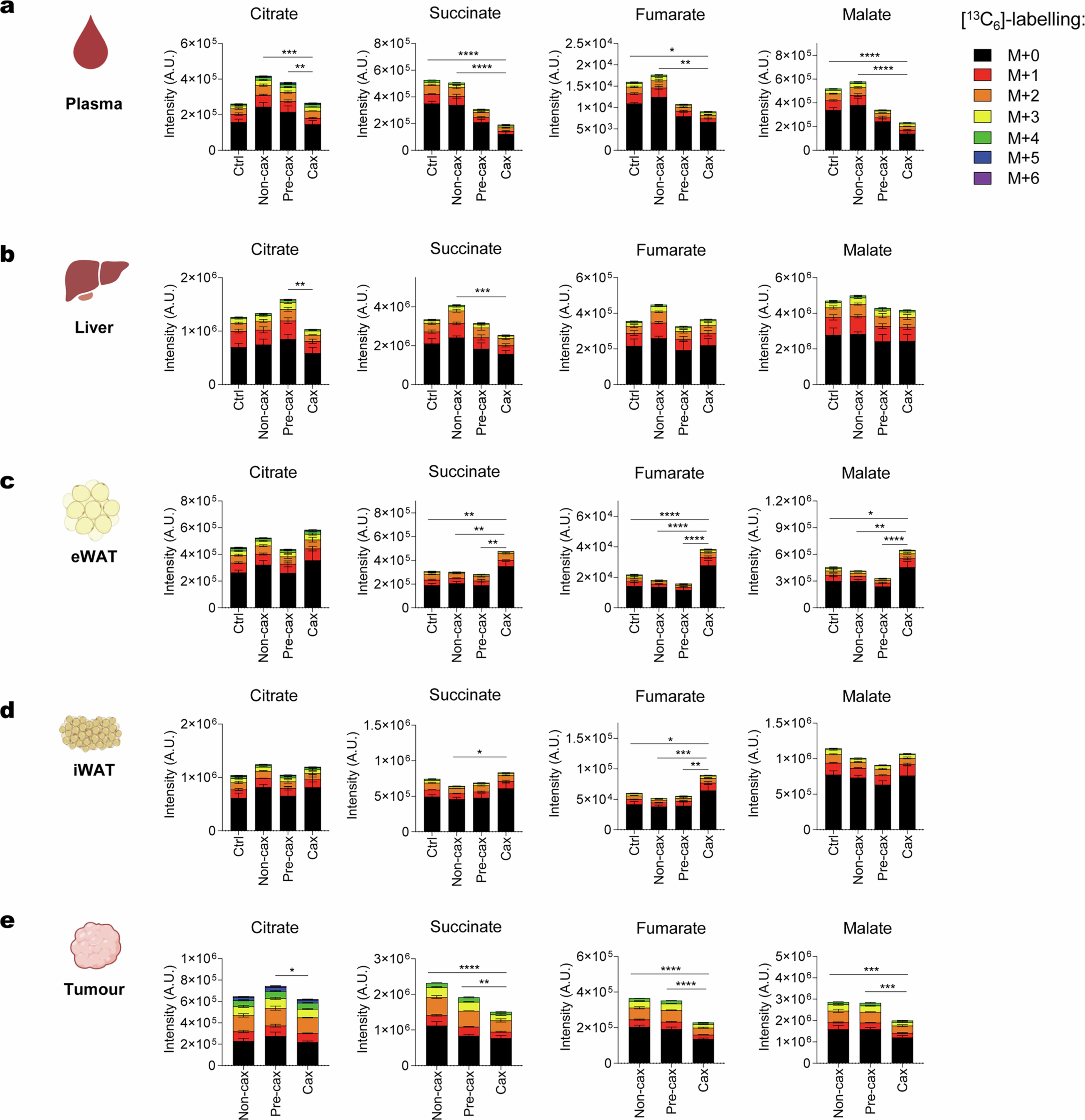 Extended Data Fig. 7: Glucose utilisation in cachexia target tissues.