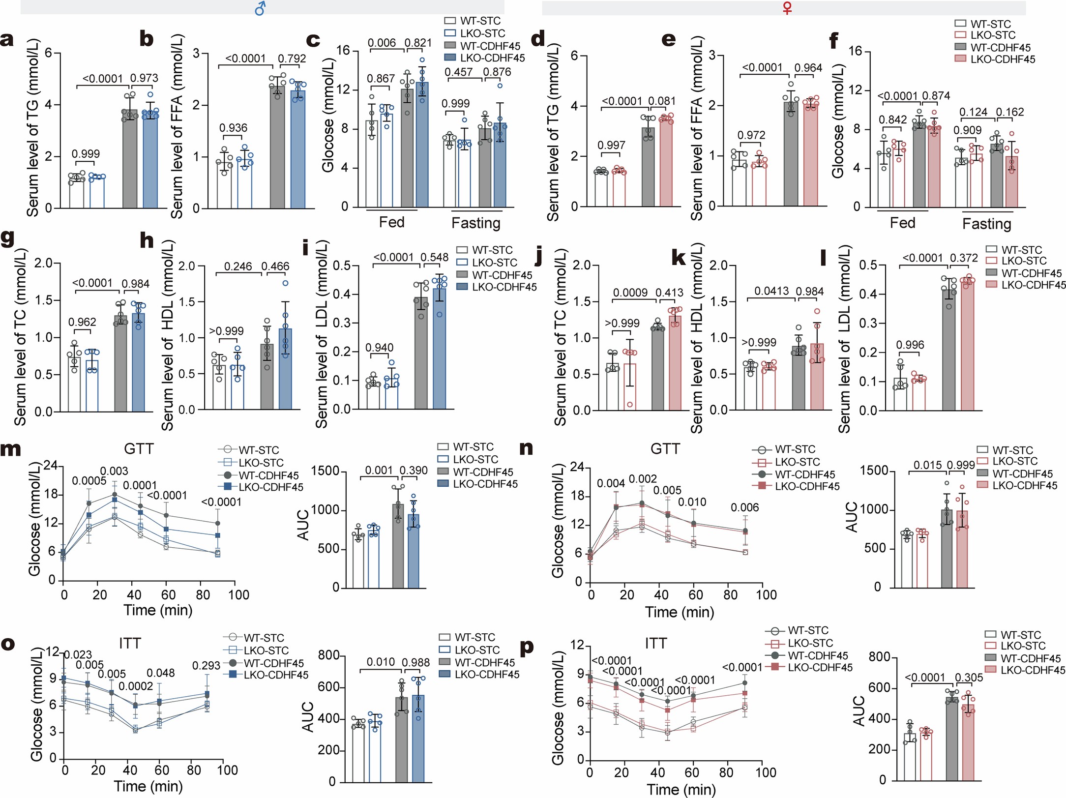 Extended Data Fig. 6: Loss of hepatic Gpr110 has no obvious effects on serum lipid and glucose levels or glucose metabolism in male or female mice.
