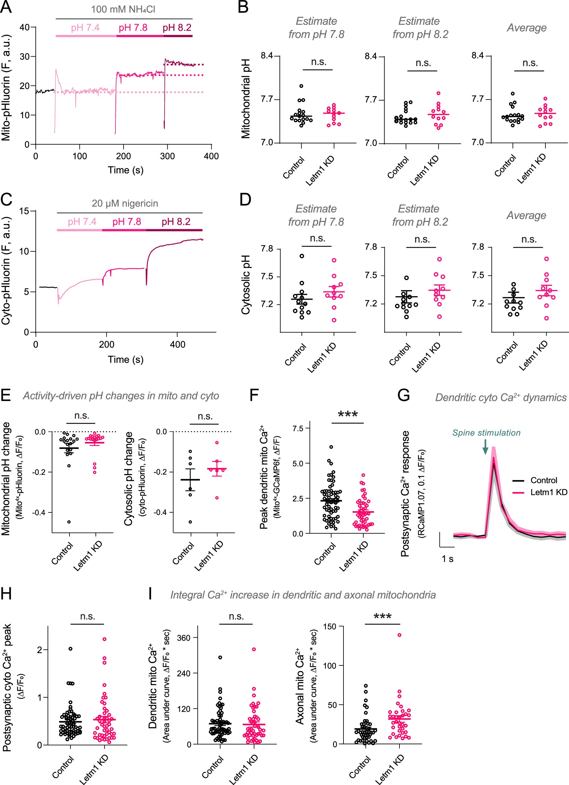 Extended Data Fig. 2: Related to Fig. 1. Axonal pH calibrations in cytosol and mitochondria and dendrite Ca2+ responses in cytosol and mitochondria.