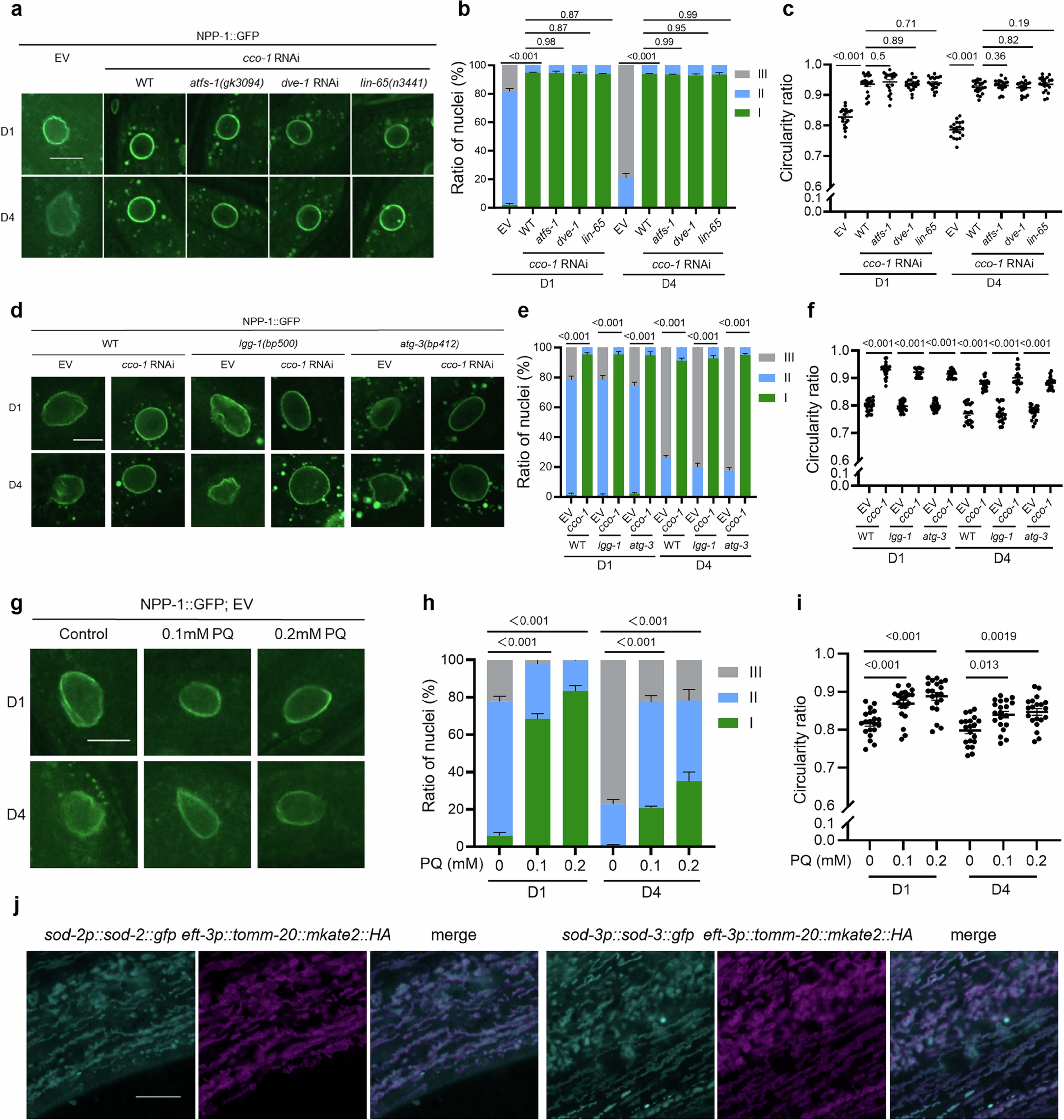 Extended Data Fig. 3