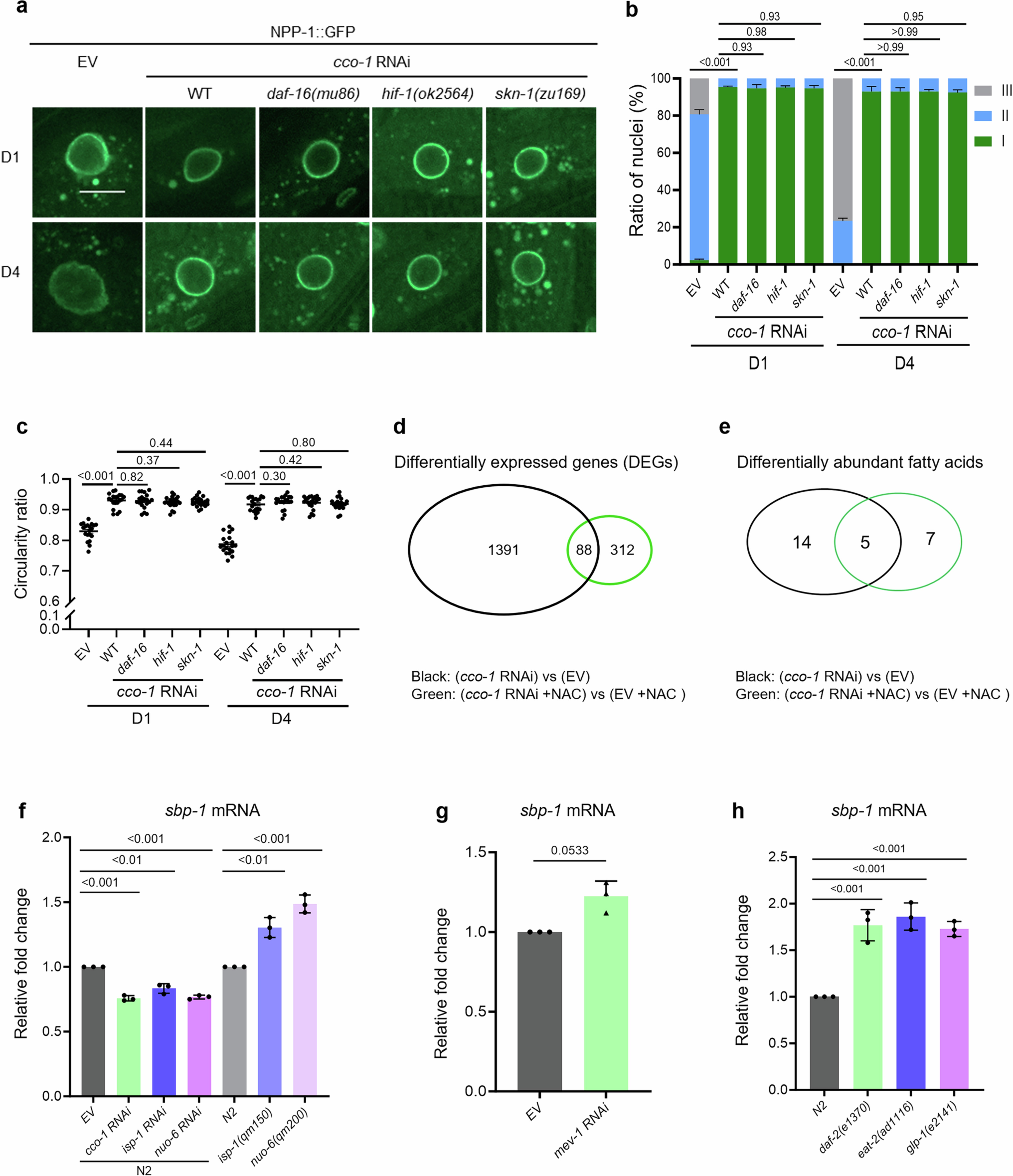 Extended Data Fig. 6