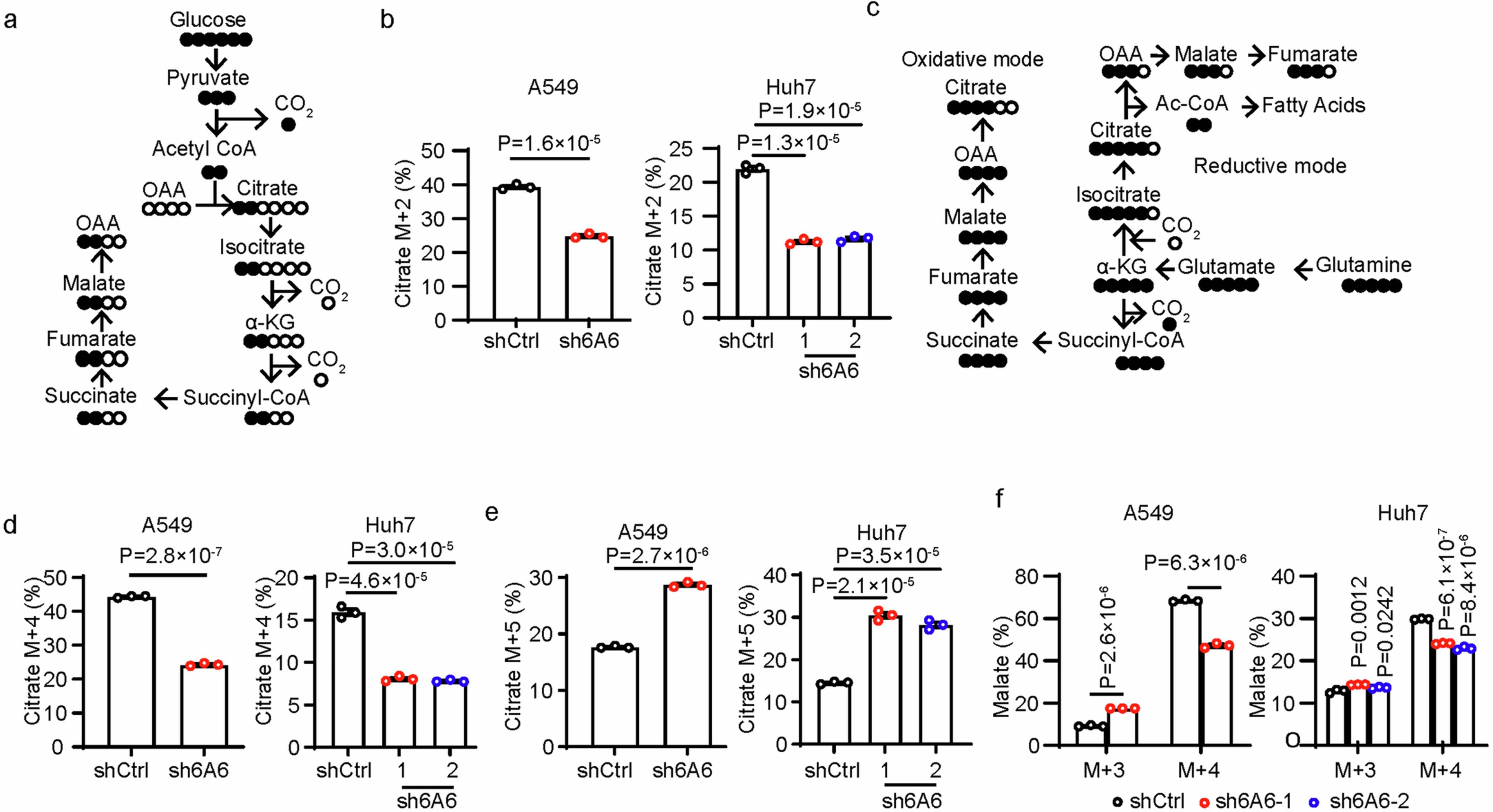 Extended Data Fig. 4
