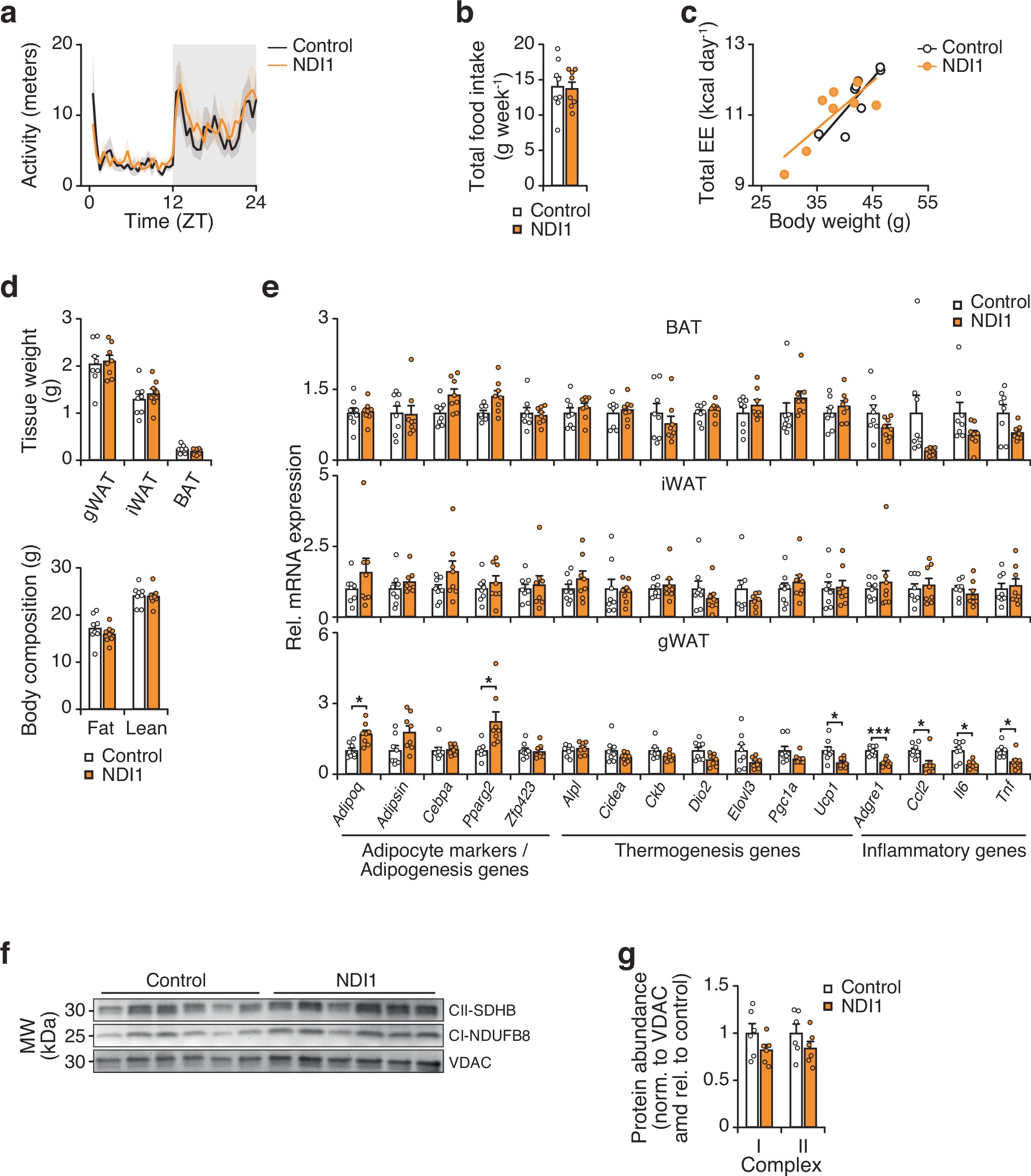 Extended Data Fig. 6