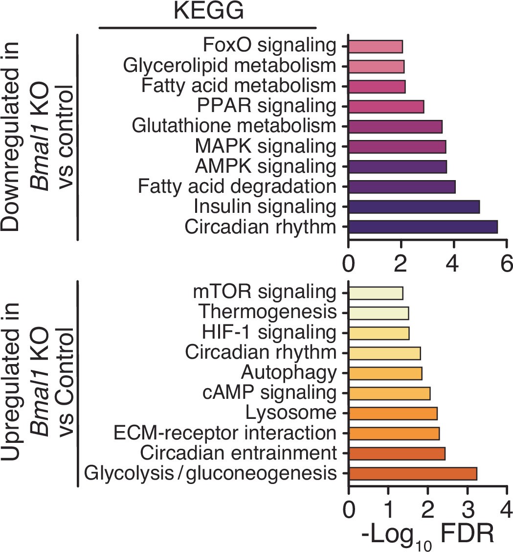 Extended Data Fig. 8