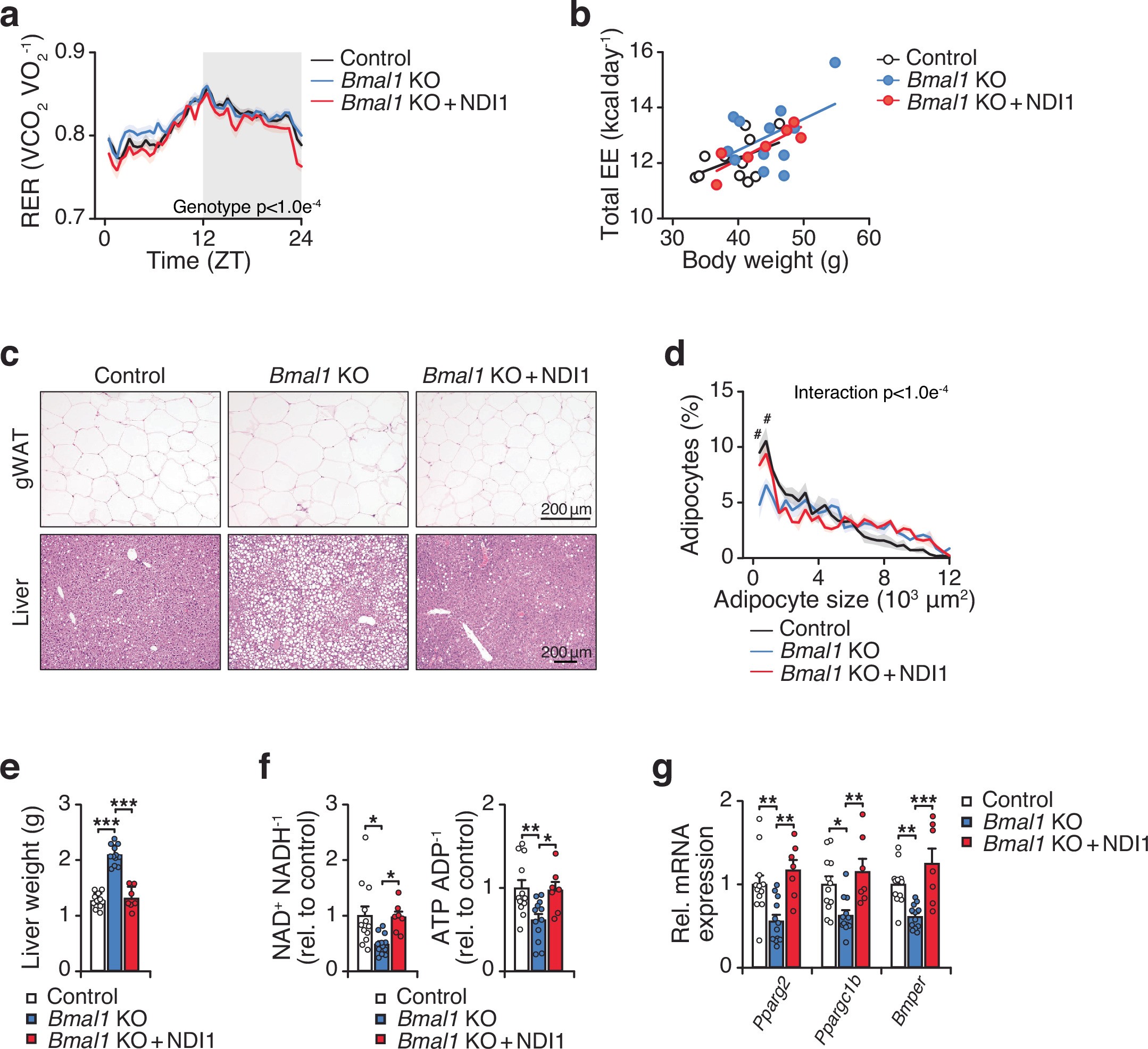 Extended Data Fig. 10
